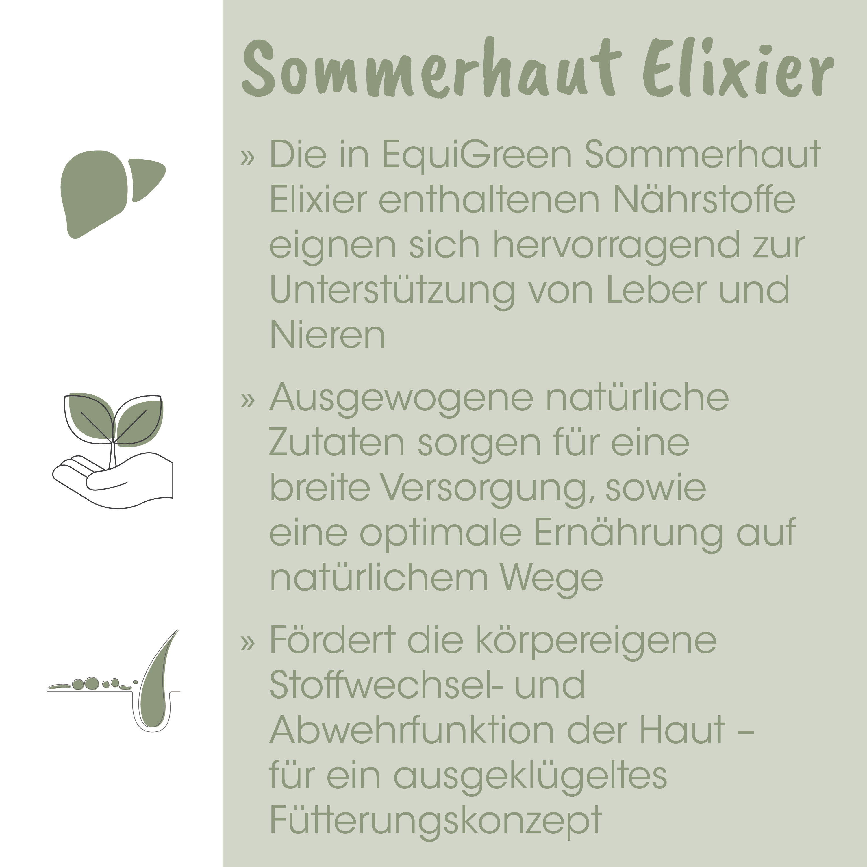 Sommerhut, Elixier, Nährstoffe, Verzehr, Naturprodukt