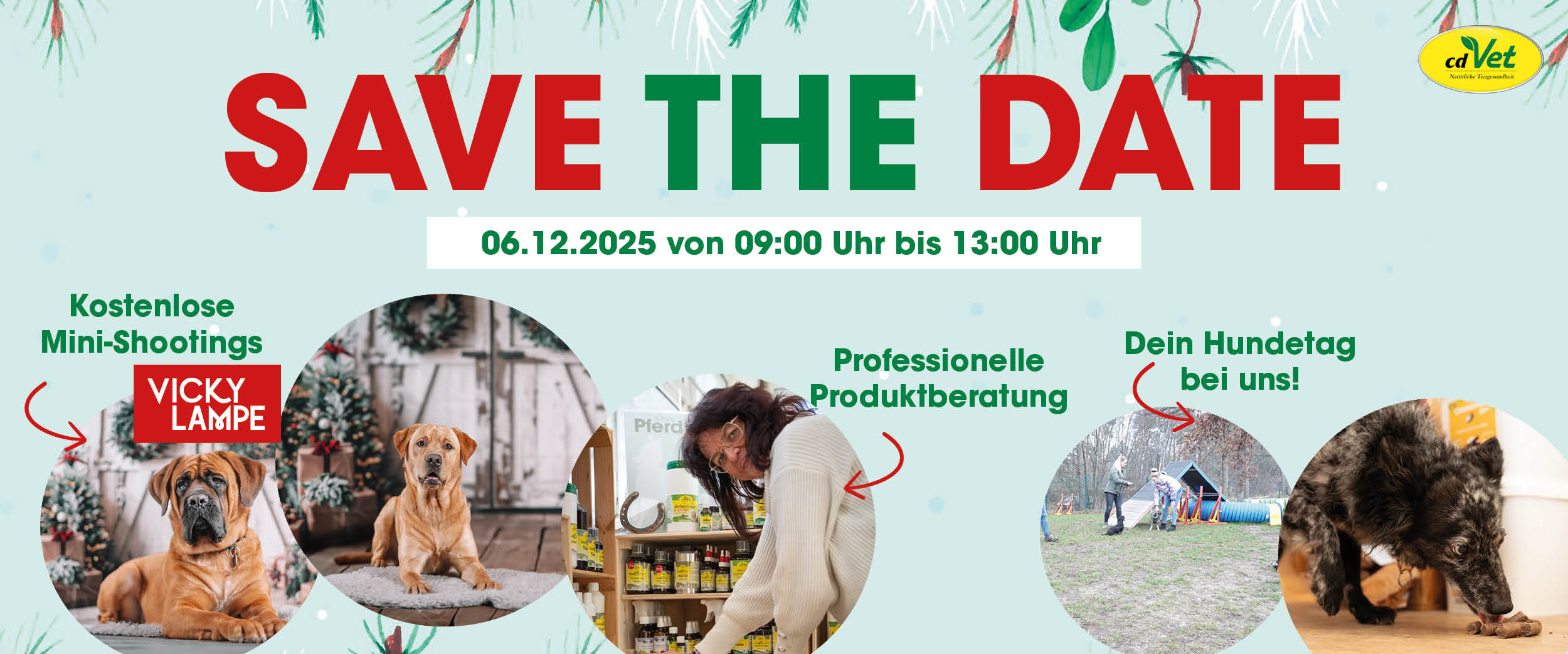 Jagdhund, Erwachsener, Weiblich, Person, Frau, Jagdhund, Erwachsener, Weiblich, Person, Frau