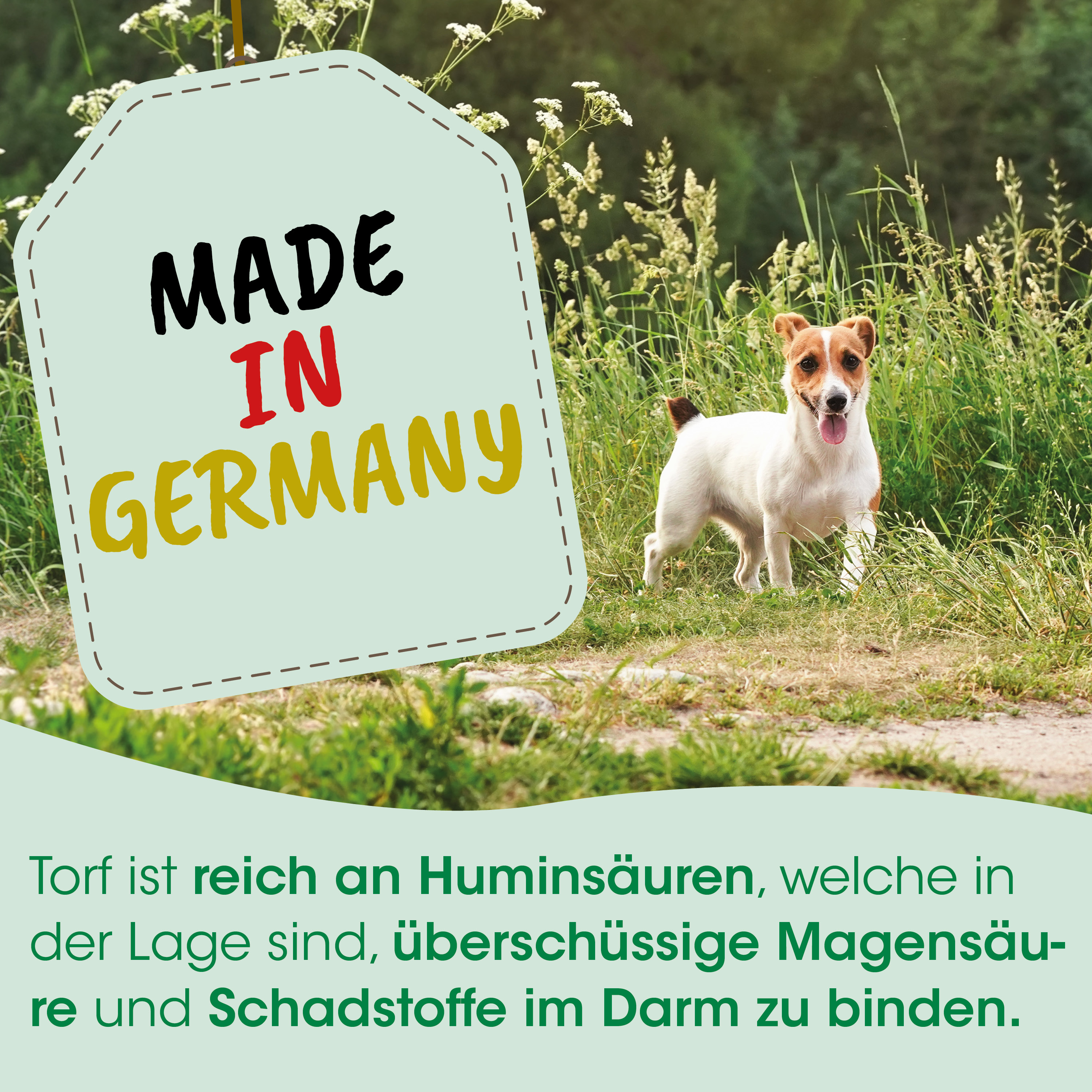  Hund, Jack-Russell, Haustier-Tag, Made in Germany, grünes Etikett