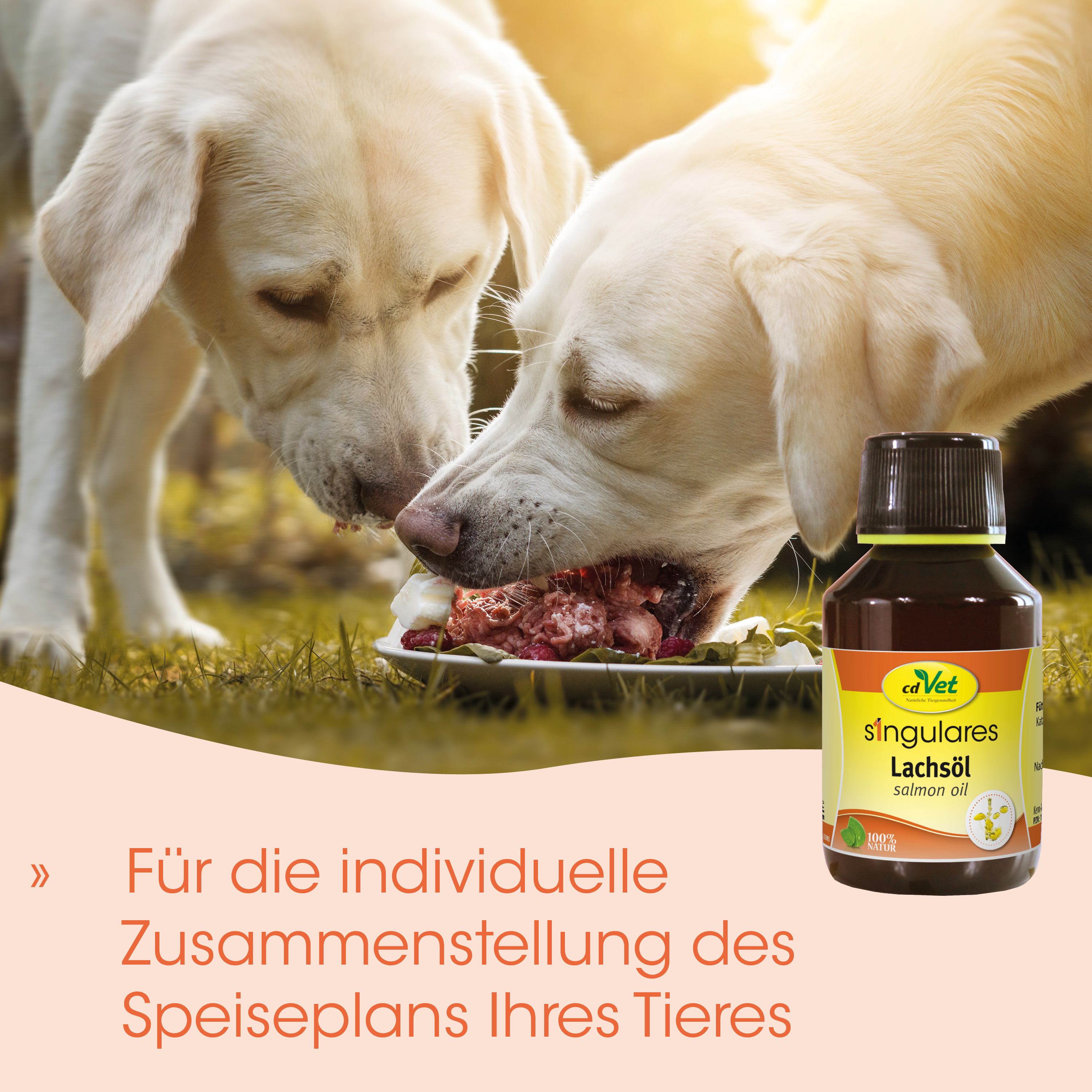 Hundesnacks, Lachsöl, Hunde-Mahlzeit, im Freien, gelbe Flasche