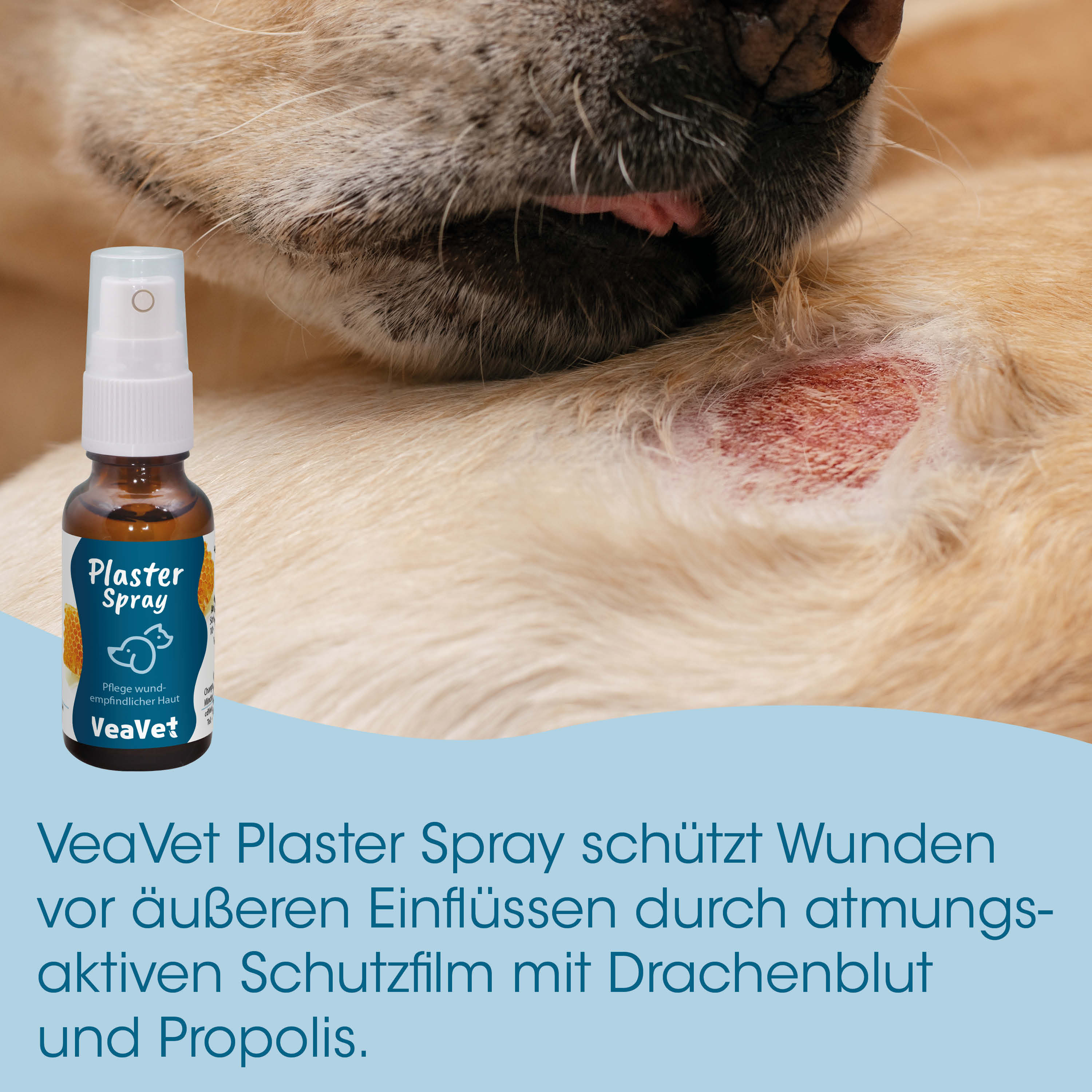 Hund, Wunde, Wundheilung, Spray, Verbandmittel