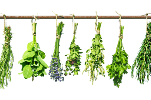 Kräuterig, Kräuter, Pflanze, Blatt, Minze