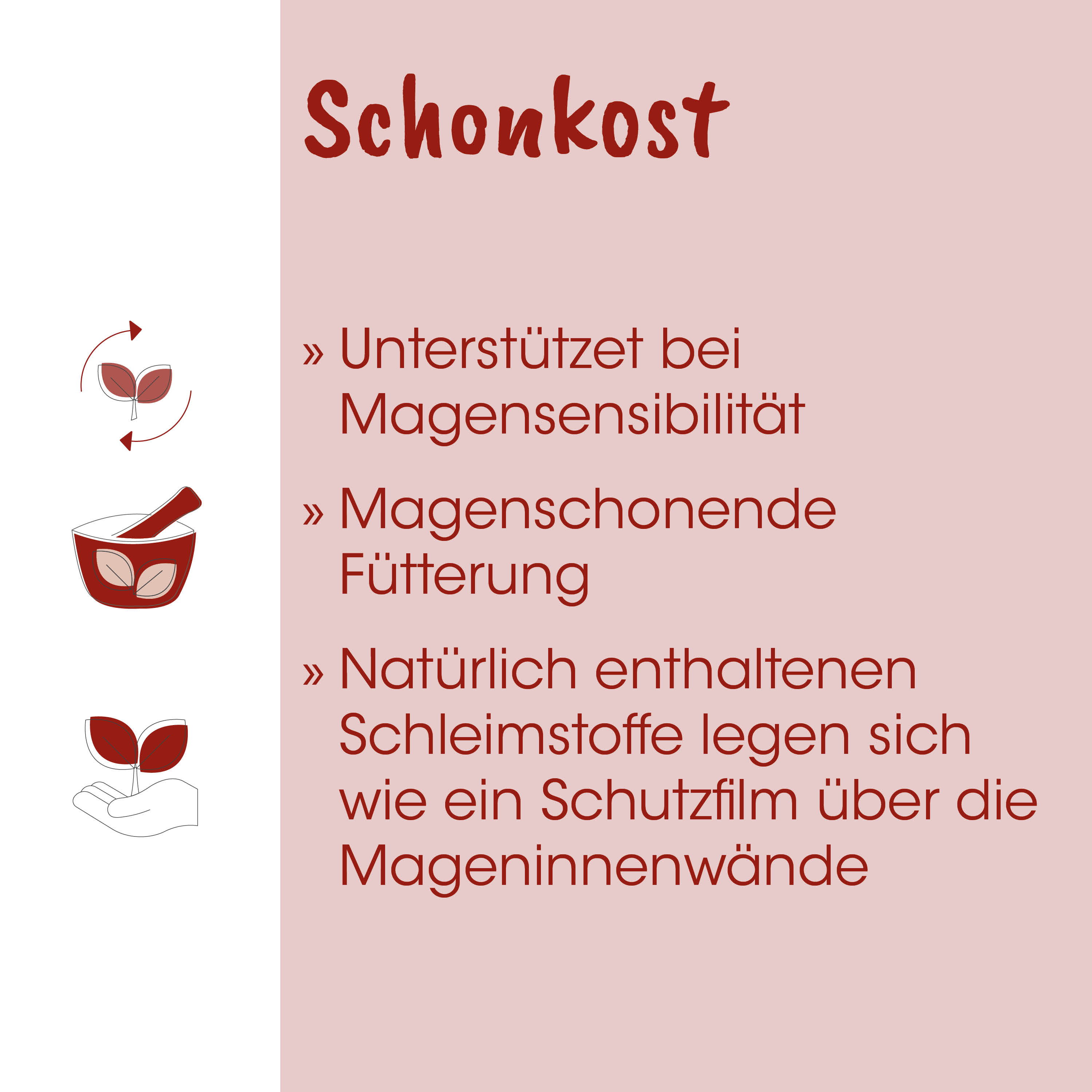 Schonkost, Magenschonend, Futter, Magen, Schutzfilm