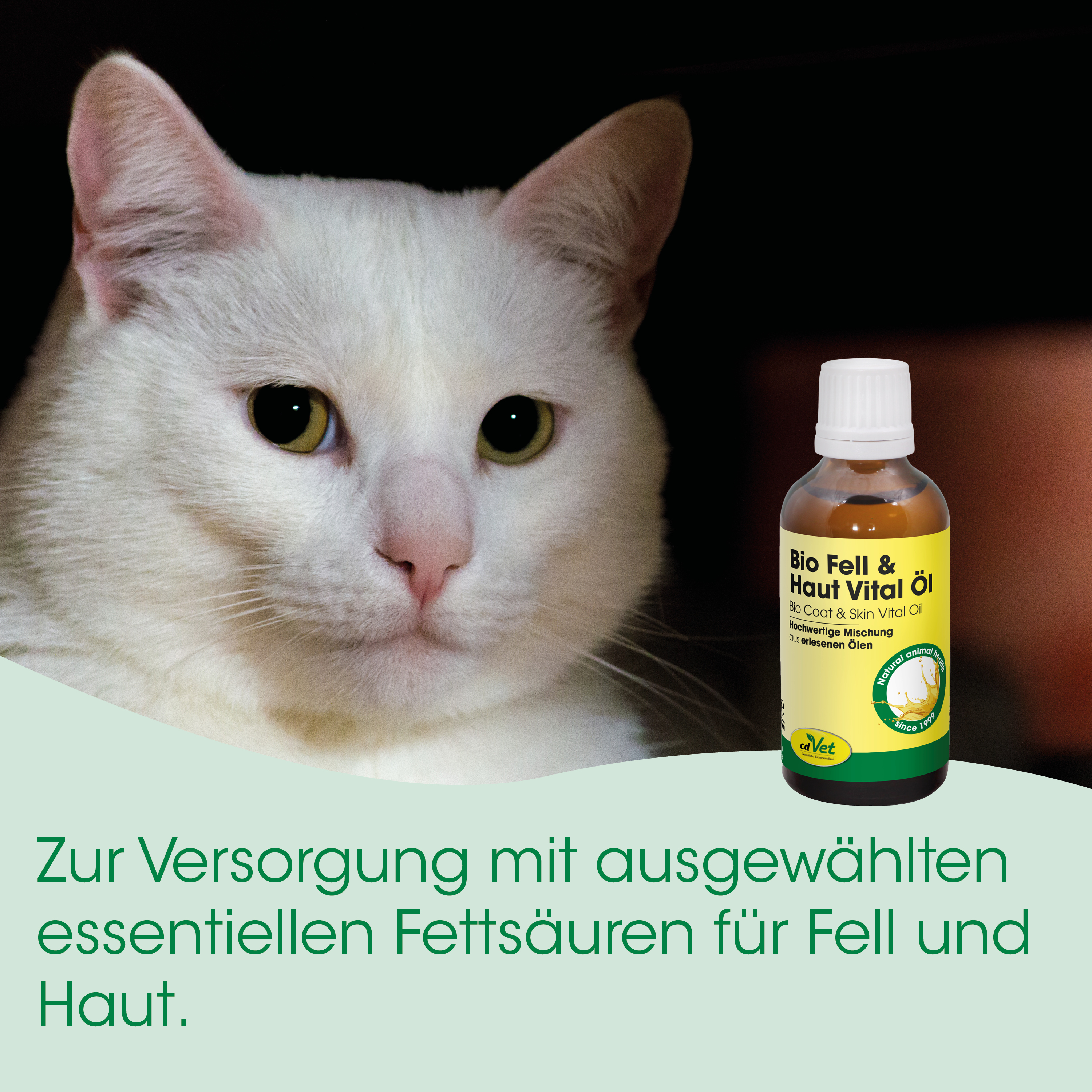 Katze, weiße Katze, Öl-Flasche, Tiernahrungsergänzung, Tierarztöl