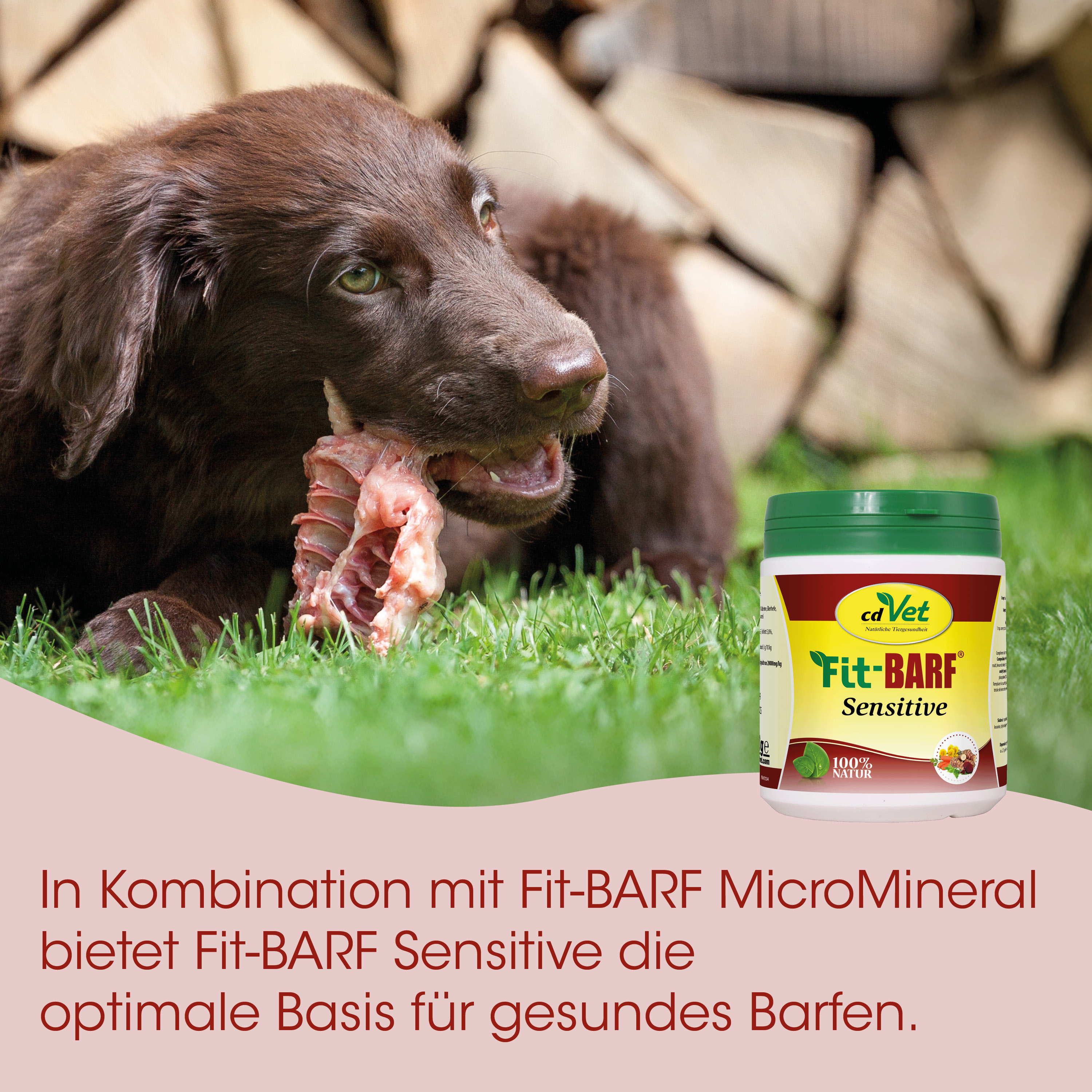Hund, Knochen, Snack, Hundefutter, Fit-BARF