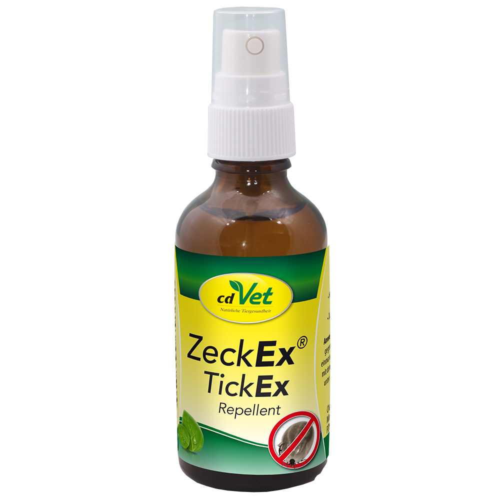 Essen, Würzen, Sirup