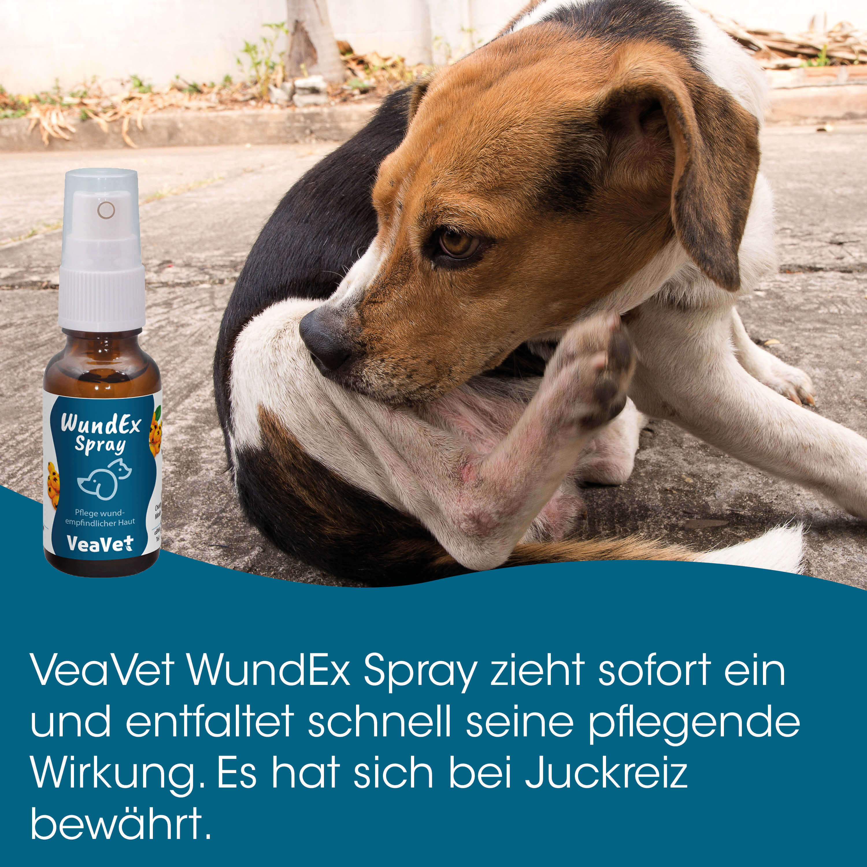 Hundewspray, WundEx Spray, Tierarzt Produkt, Pflege Sprühflasche, Behandlung Haut