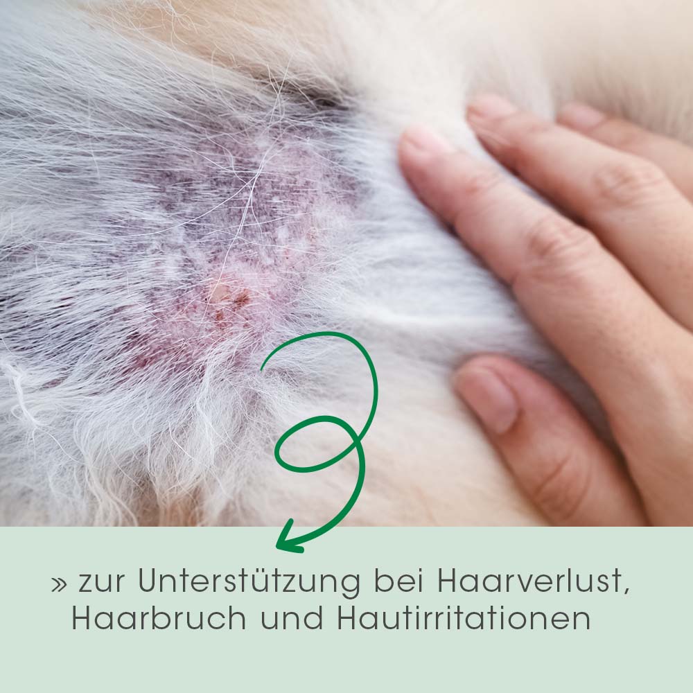 Fell & Haut Vital Hund & Katze 150 g