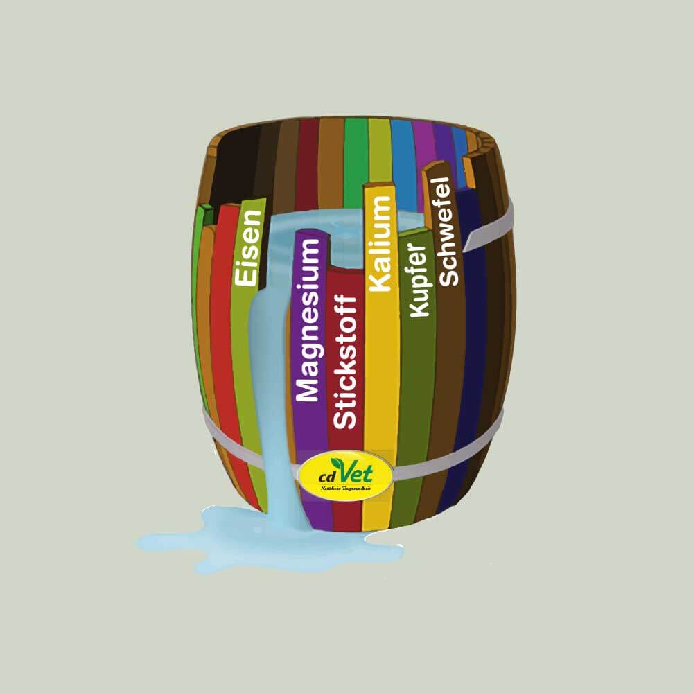 Mineralstoffversorung-kachel Mineralstoffversorung-kachel