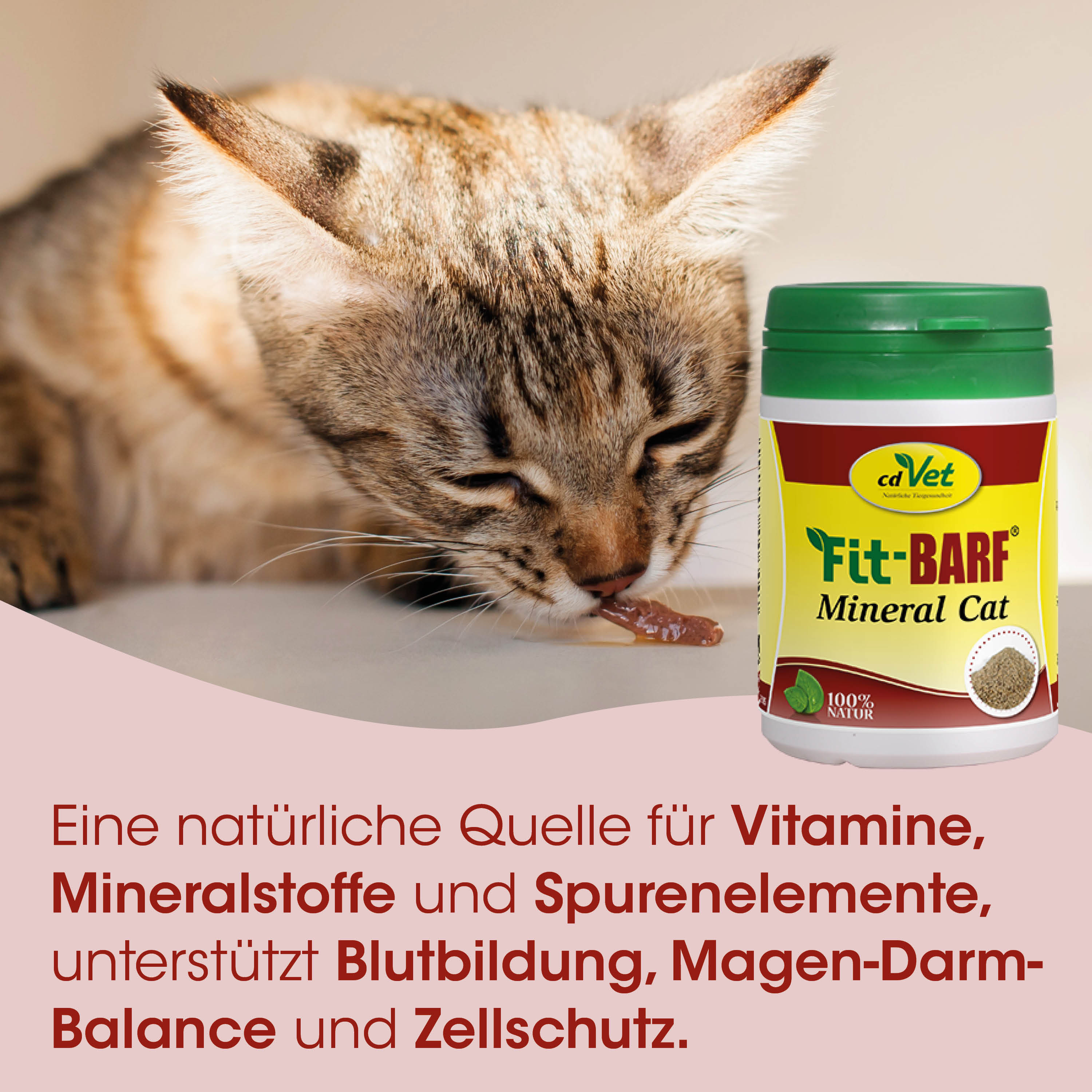 katzennahrung, futterdose, katze, mineralfutter, vitamine