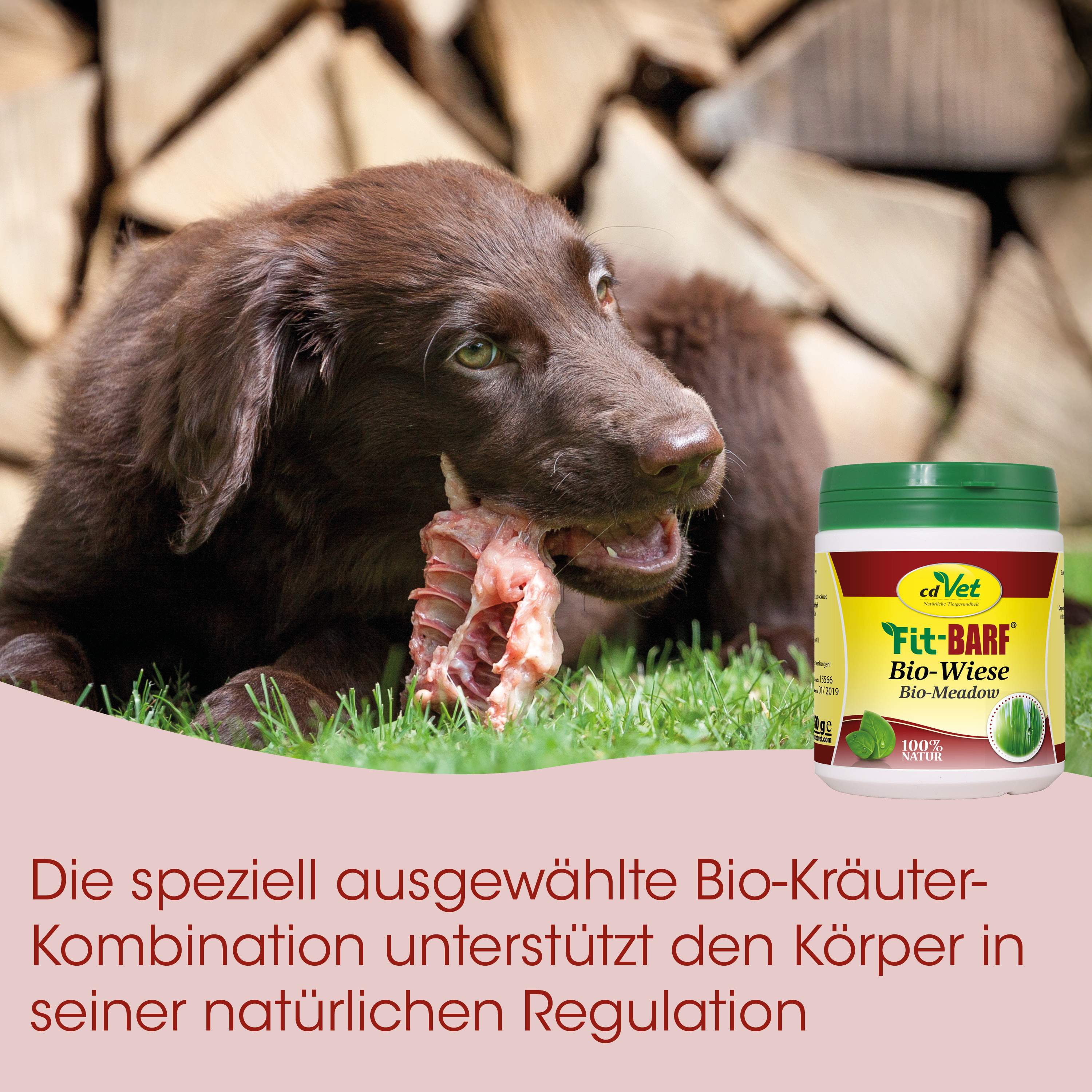 Hund, Kauspielzeug, Rindfleischknochen, Bio-Kräuter, Meadow/Wiese