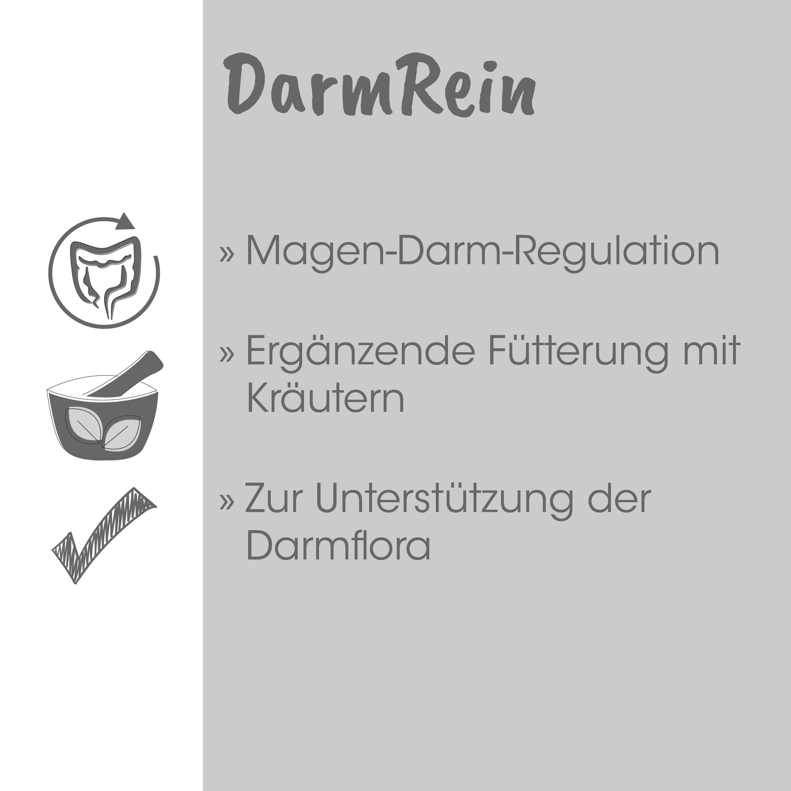 Magen-Darm, Nahrungsergänzung, Kräuter, Darmflora, Futtermittel