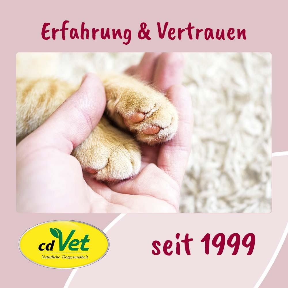 pfote, katze, krallen, weiches fell, tierarzt-logo