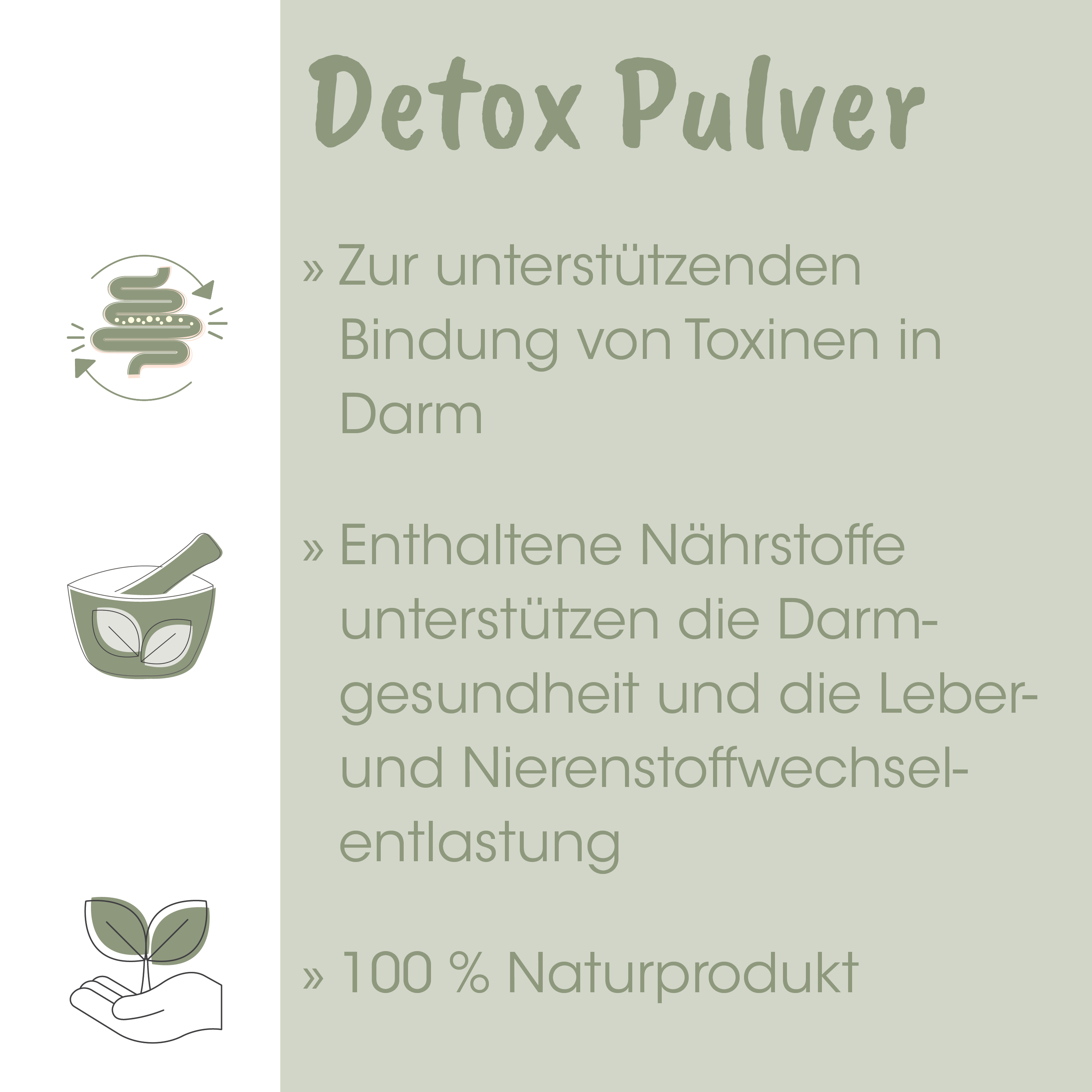 Detox Pulver, Verdauungsunterstützung, Natürliches Produkt, Nährstoffe, Pflanzenpulver