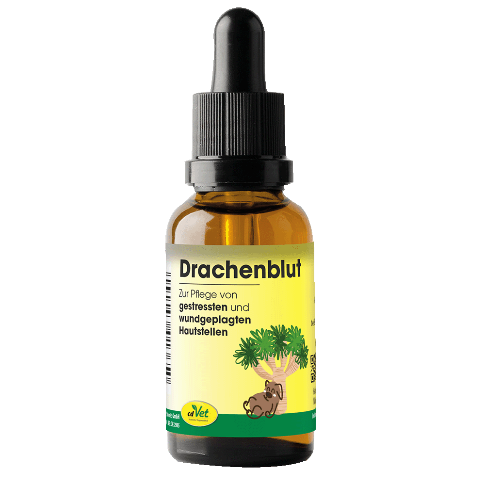 Drachenblut 20 ml Kräuterig, Pflanze, Flasche, Kosmetik, Parfüm