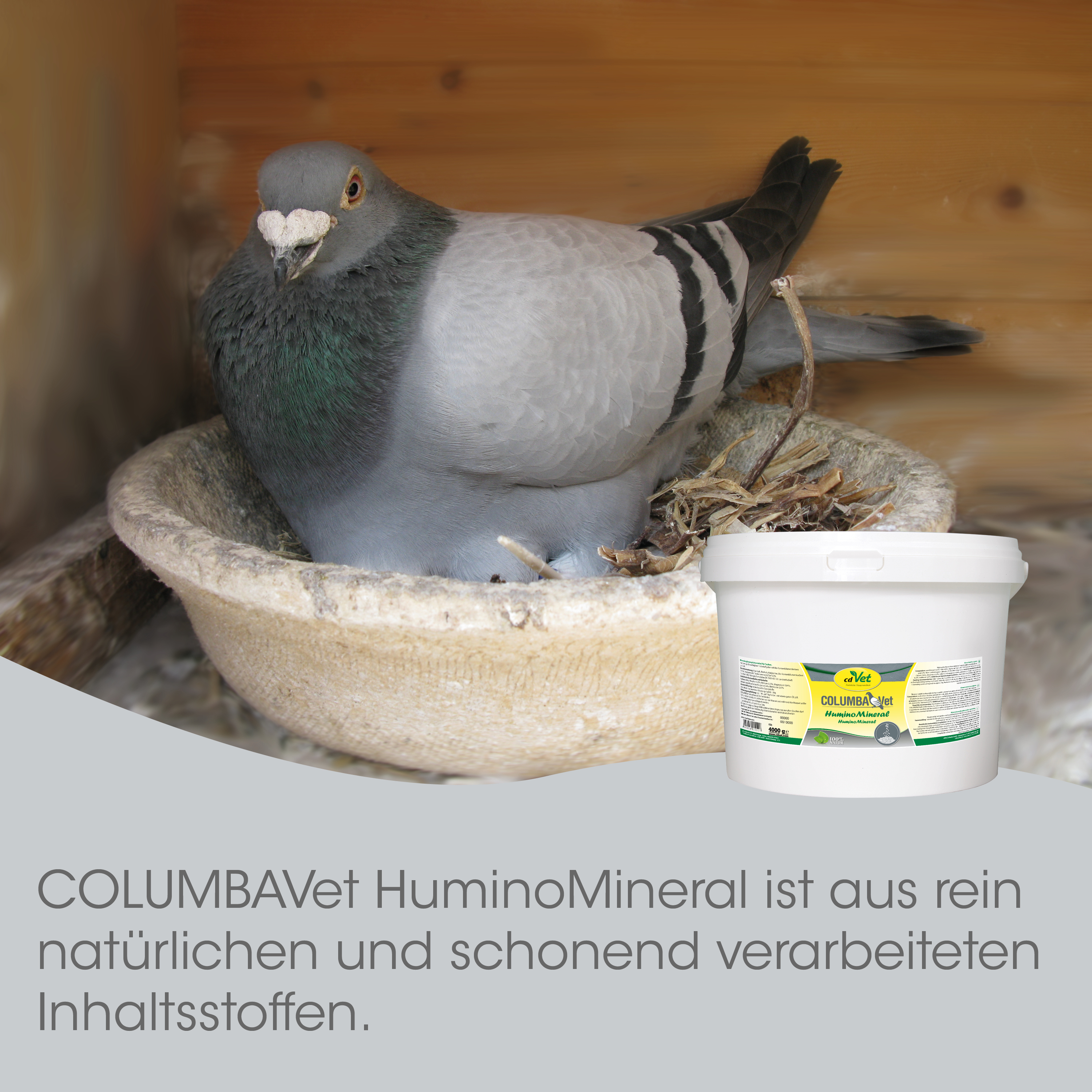Haubenvogel, Taubenkopf, Feder, Futtermittel, Futterpaste