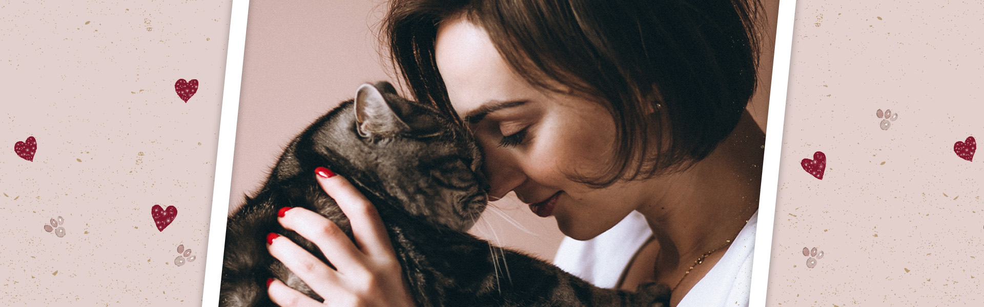 Banner_feliTATZ_1920x600