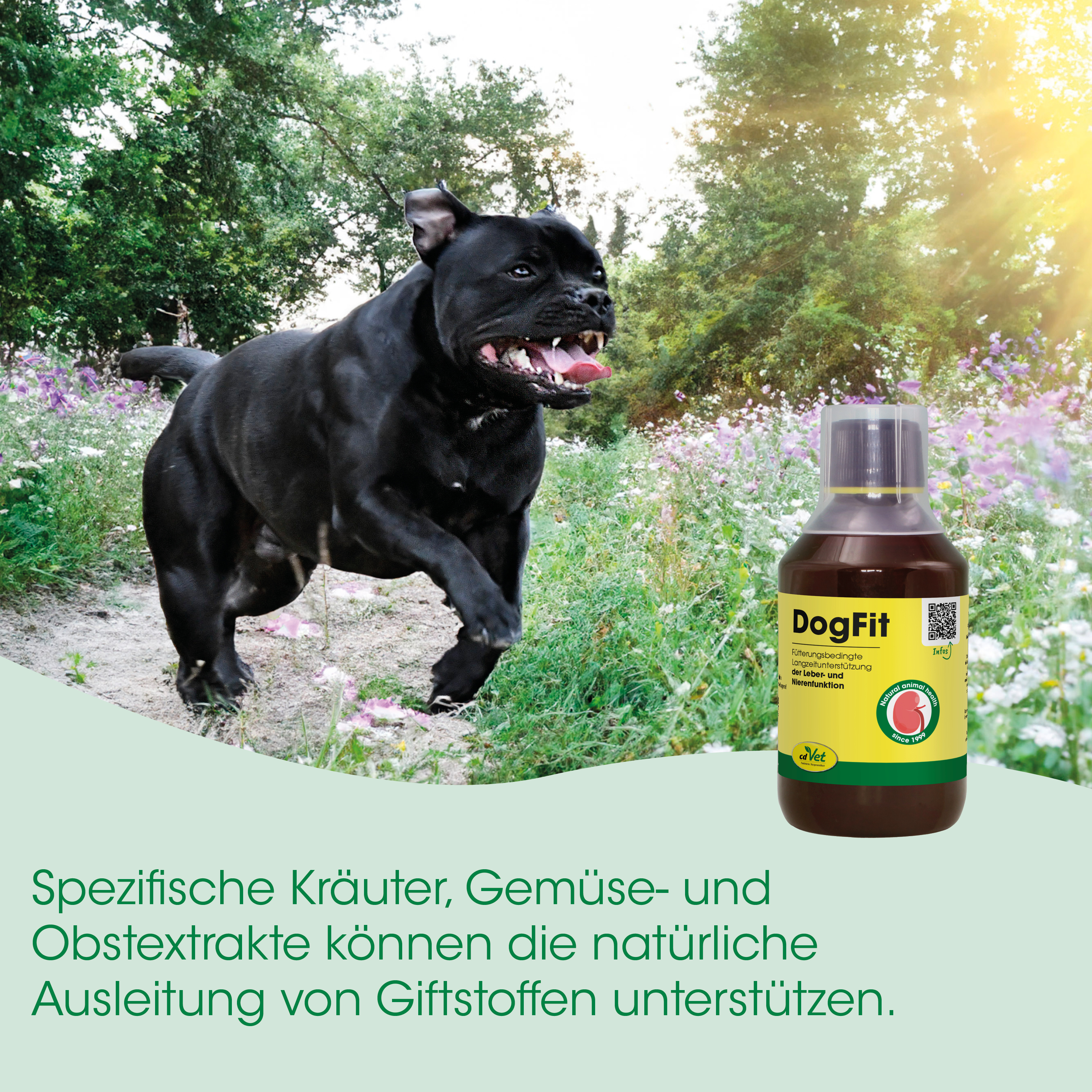 Hund, Hundeprodukt, Flasche, DogFit, Kräuterextrakt