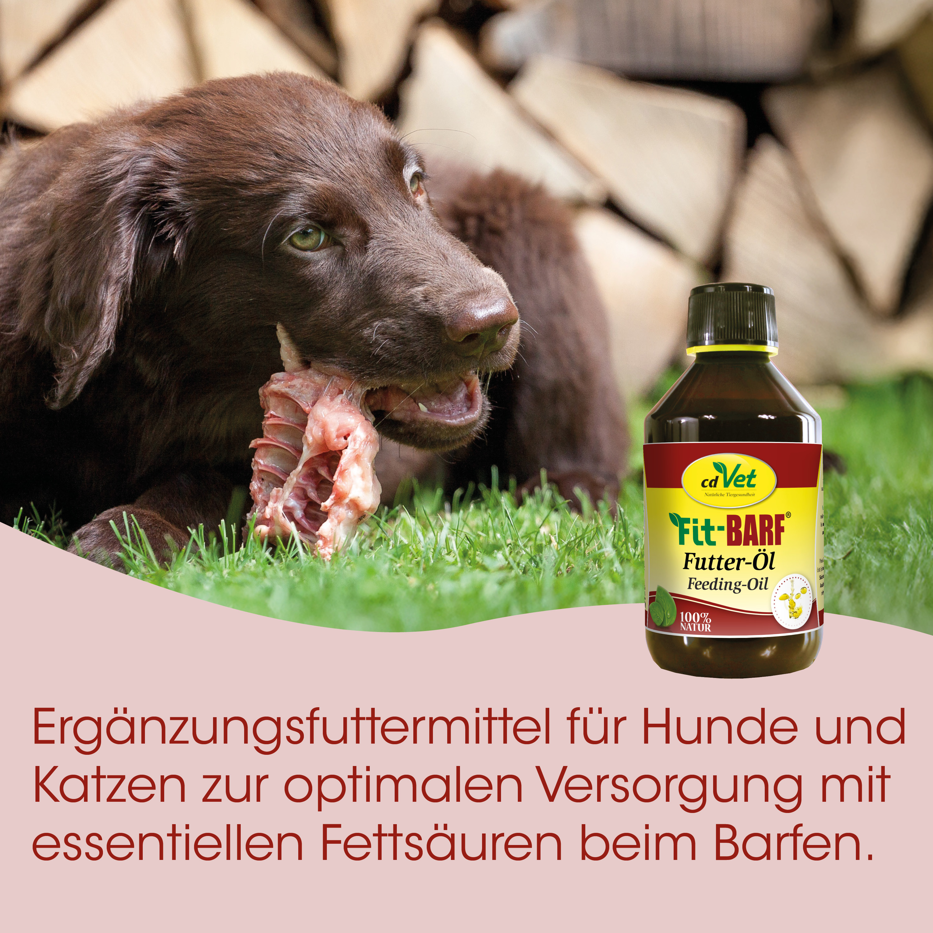 Hund, Kau-Schlacht, Futteröl, Barf, Ergänzungsfuttermittel