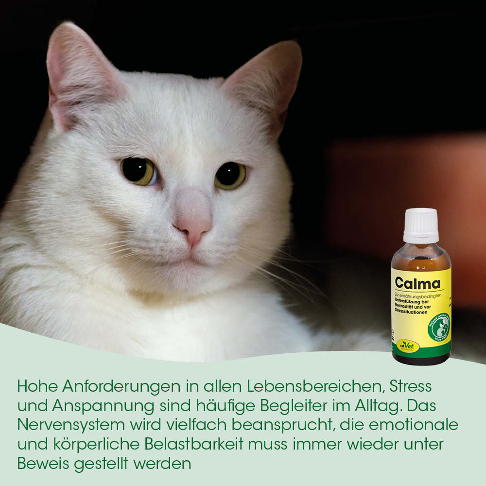 Katze, Tierarzt, Calma Tropfen, Nervensystem?, Beruhigungsmittel