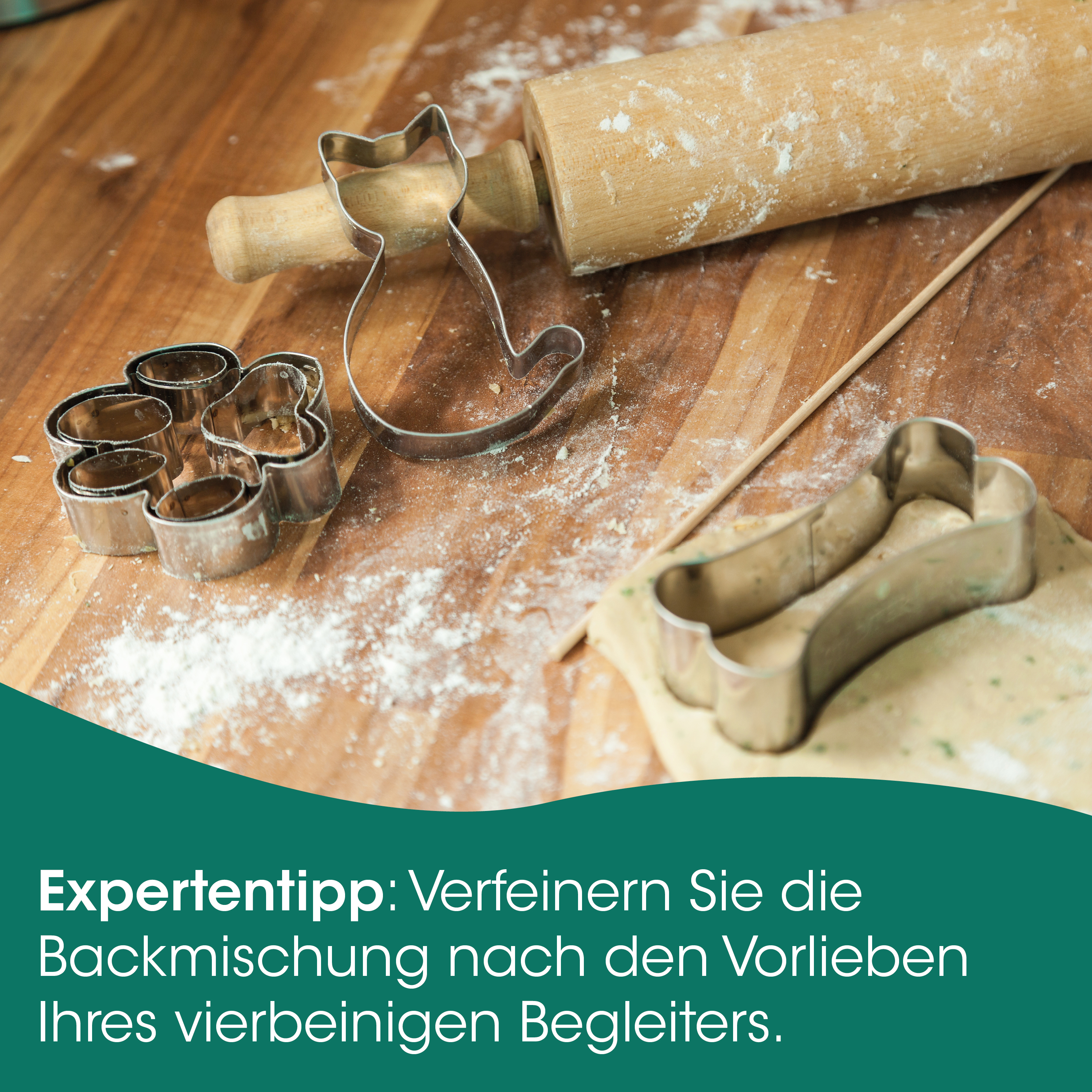 Backformen, Ausstechformen, Teigrolle, Keksformen, Backzubehör