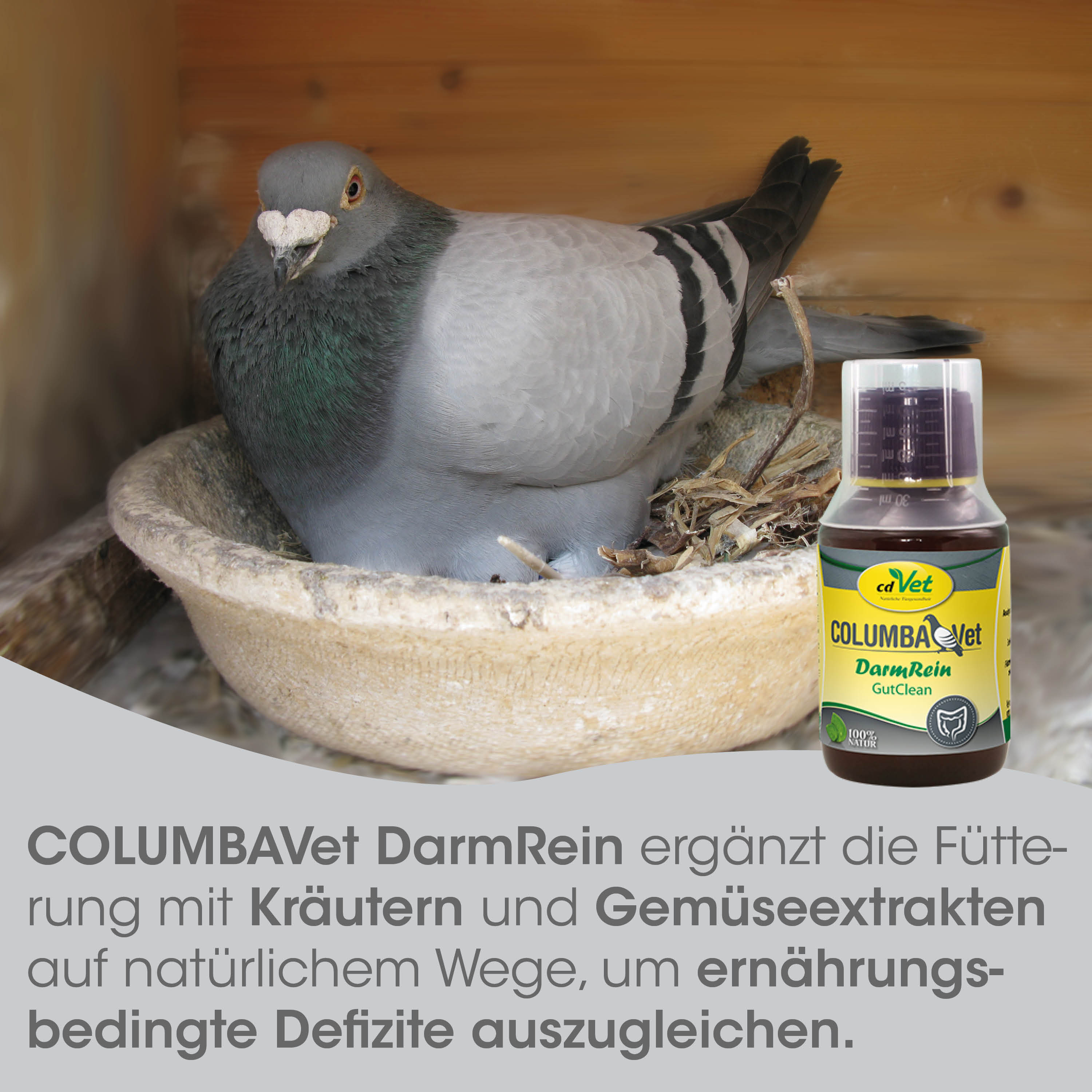 Taubenfutter, Kräuterextrakt, Kräuter/Gemüseextrakt, Ergänzungsfutter, Natürliche Zutaten