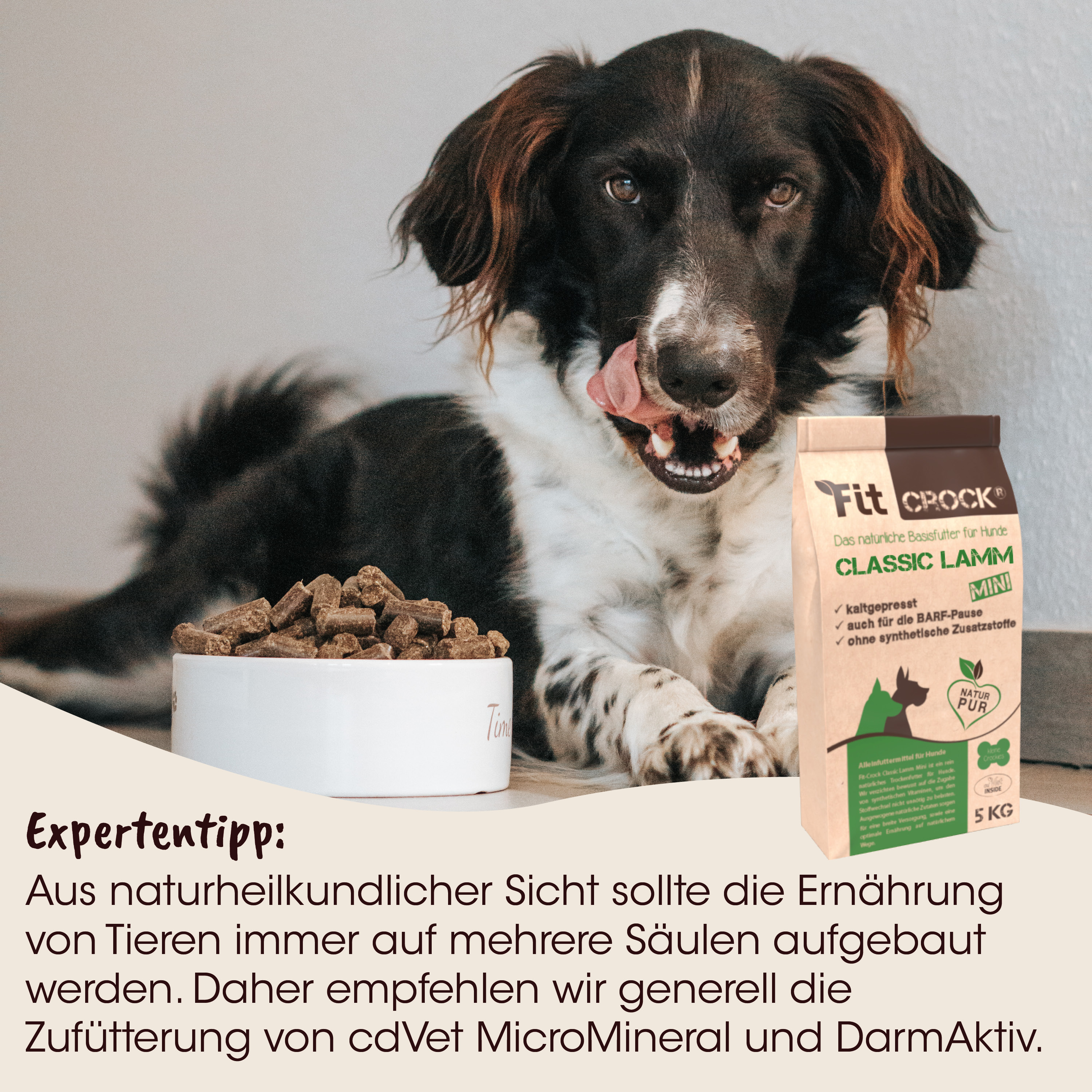 Hund, Kauartikel, Hundefutter, Beutel, Trockenfutter