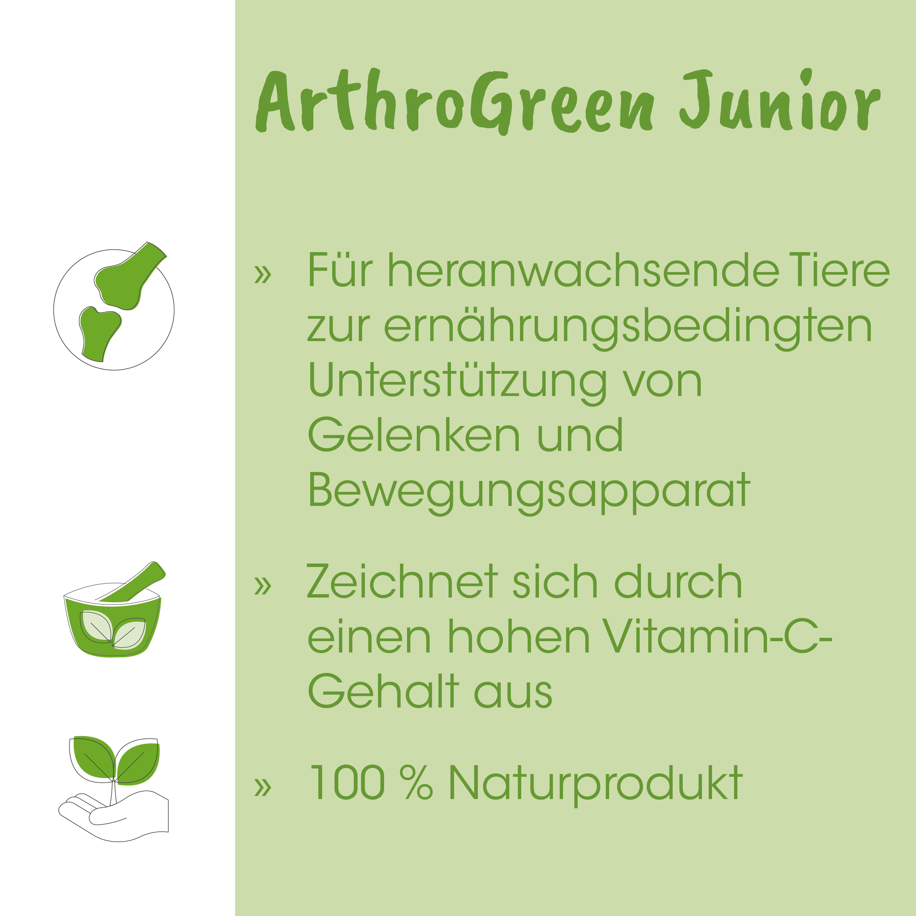 ArthroGreen Junior, Naturprodukt, Vitamin-C, Gelenkstütze, Kinderpflege
