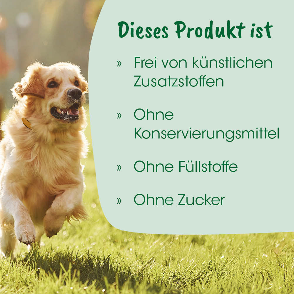 Hund, Goldender Retriever, Tierfutter, Outdoor, Gras