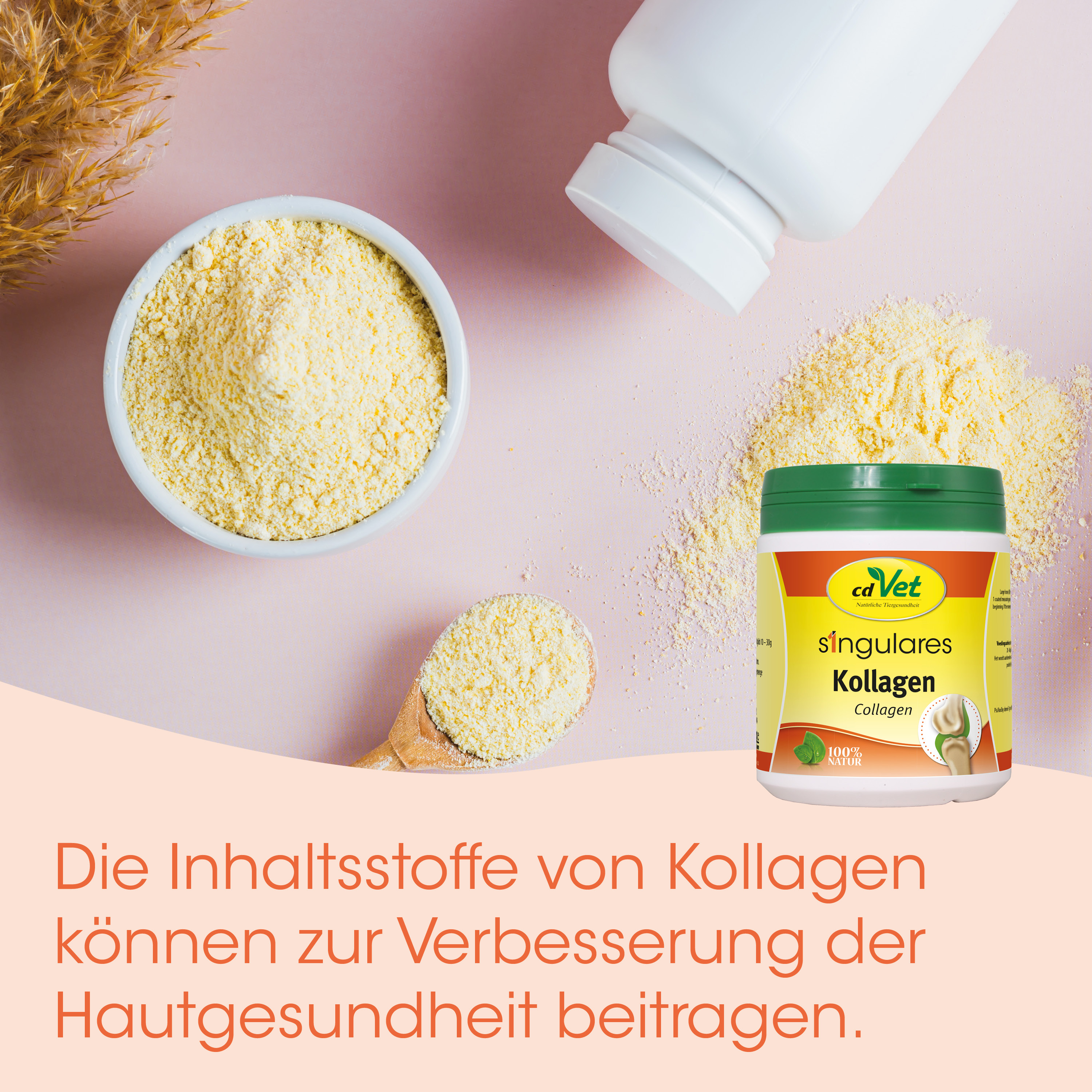 Collagen, Proteinpulver, Herkunftsbezeichnung, Lebensmittelergänzung, Diät Ergänzung
