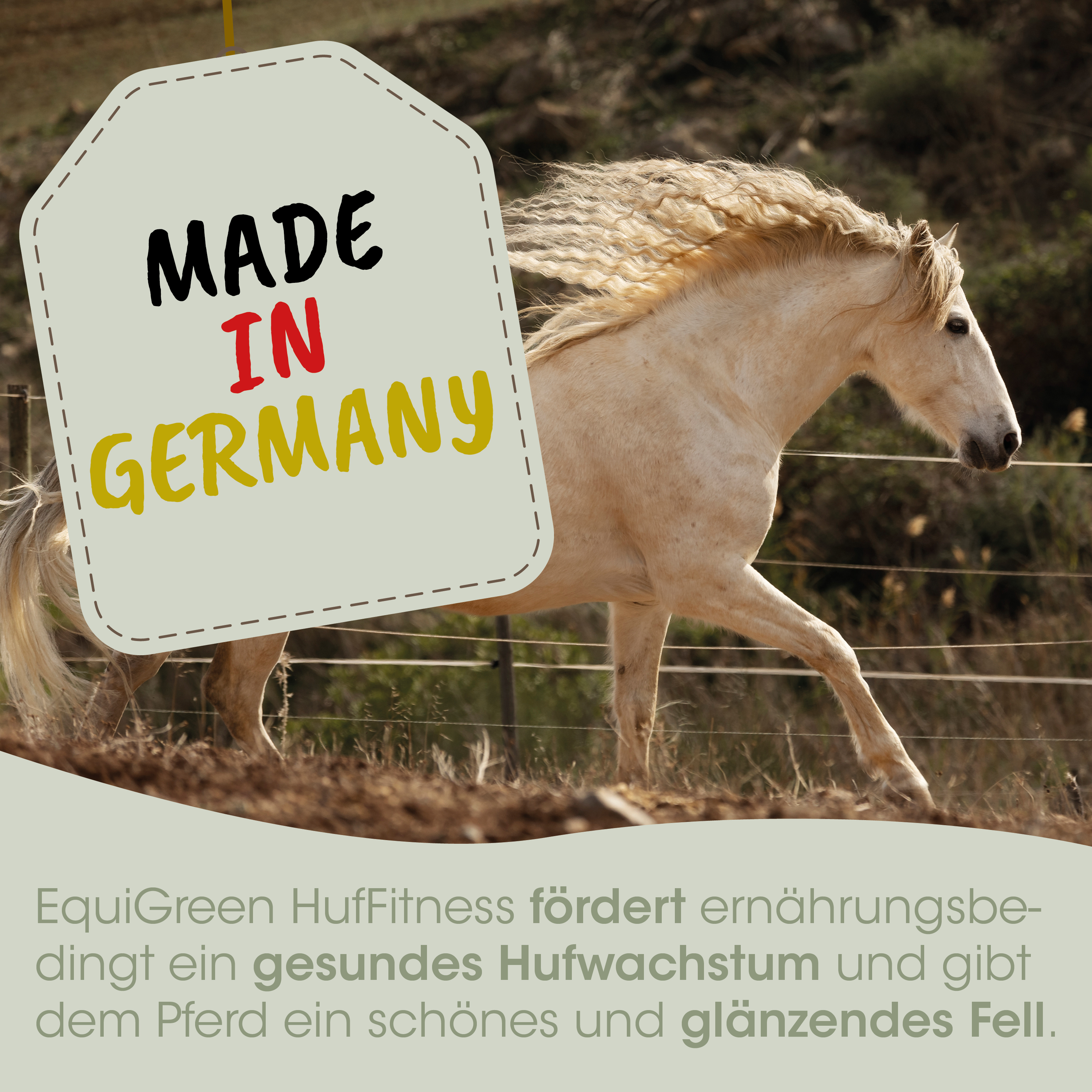 horse, painted tag, made in germany, harness label, fitness poster
