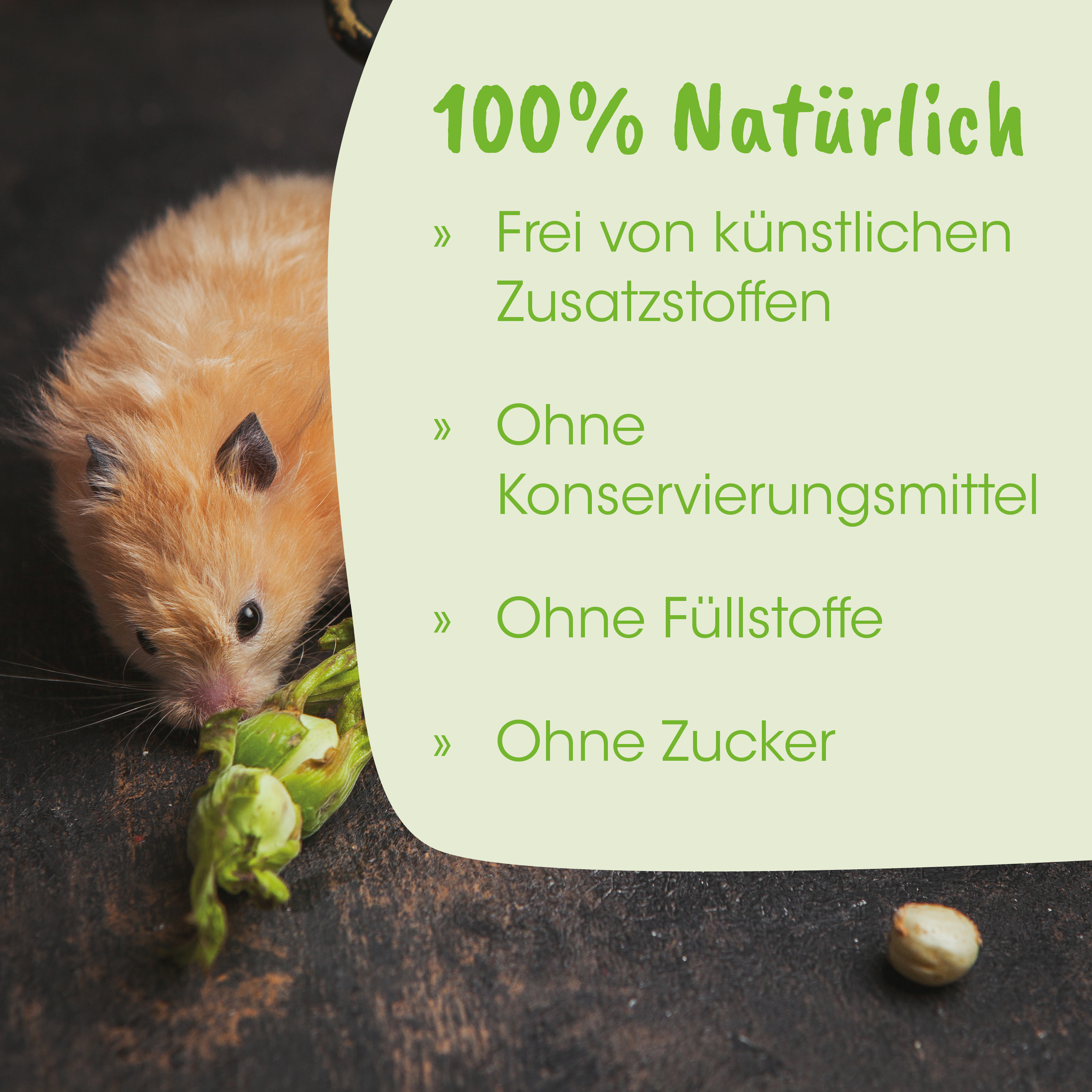 Hase, Nagetiere, Fell, Ohren, Käse?