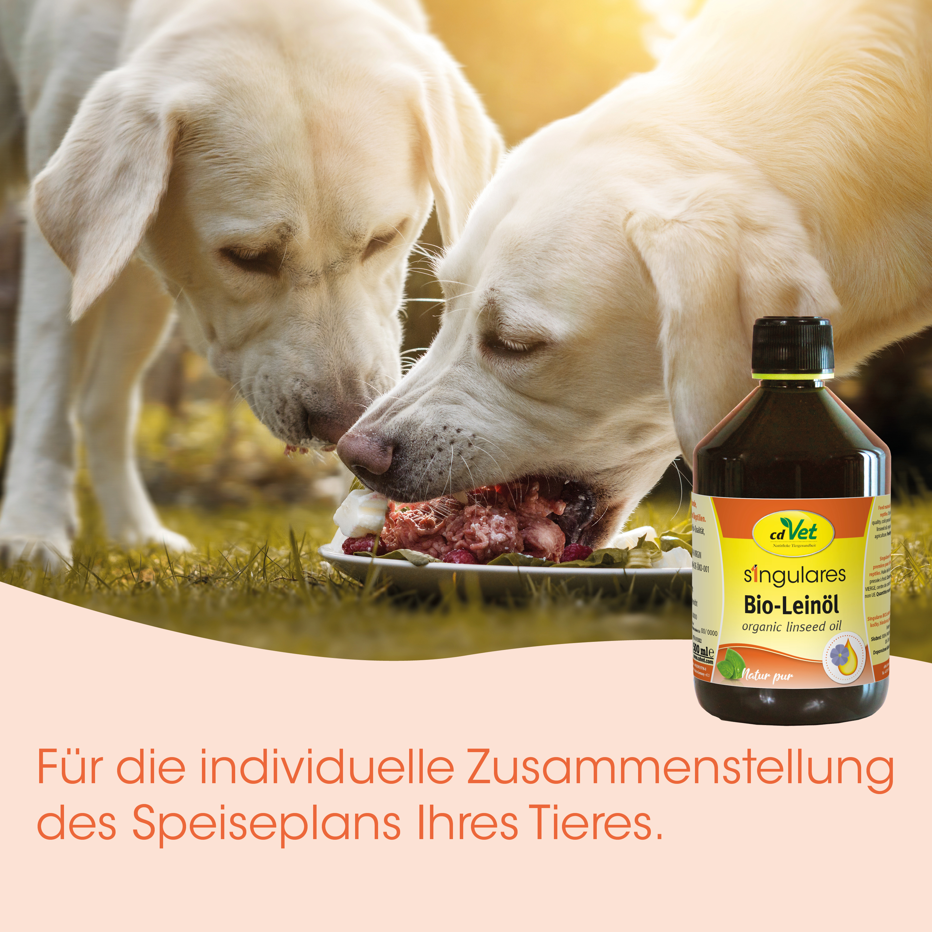 Hunde, Futtermittel, Bio-Öl, Tiernahrung, Ernährung