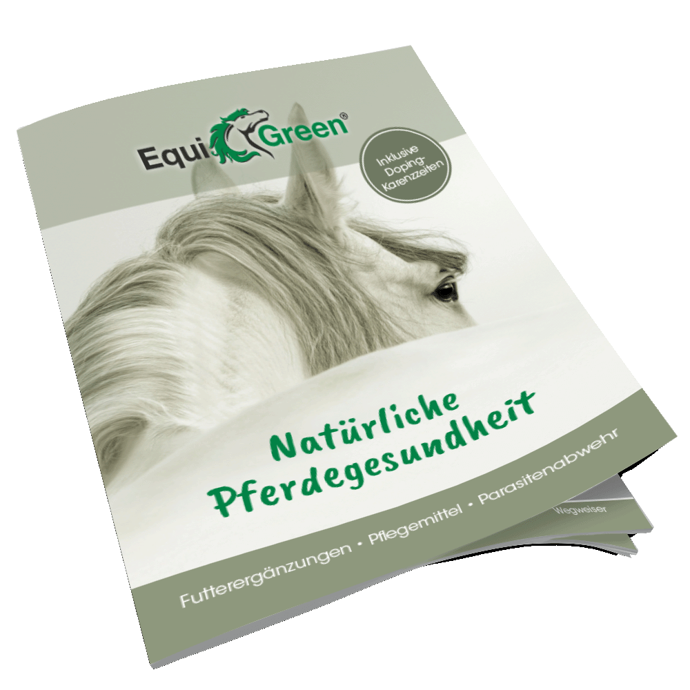 Broschüre Pferd, A5 Broschüre Pferd, A5