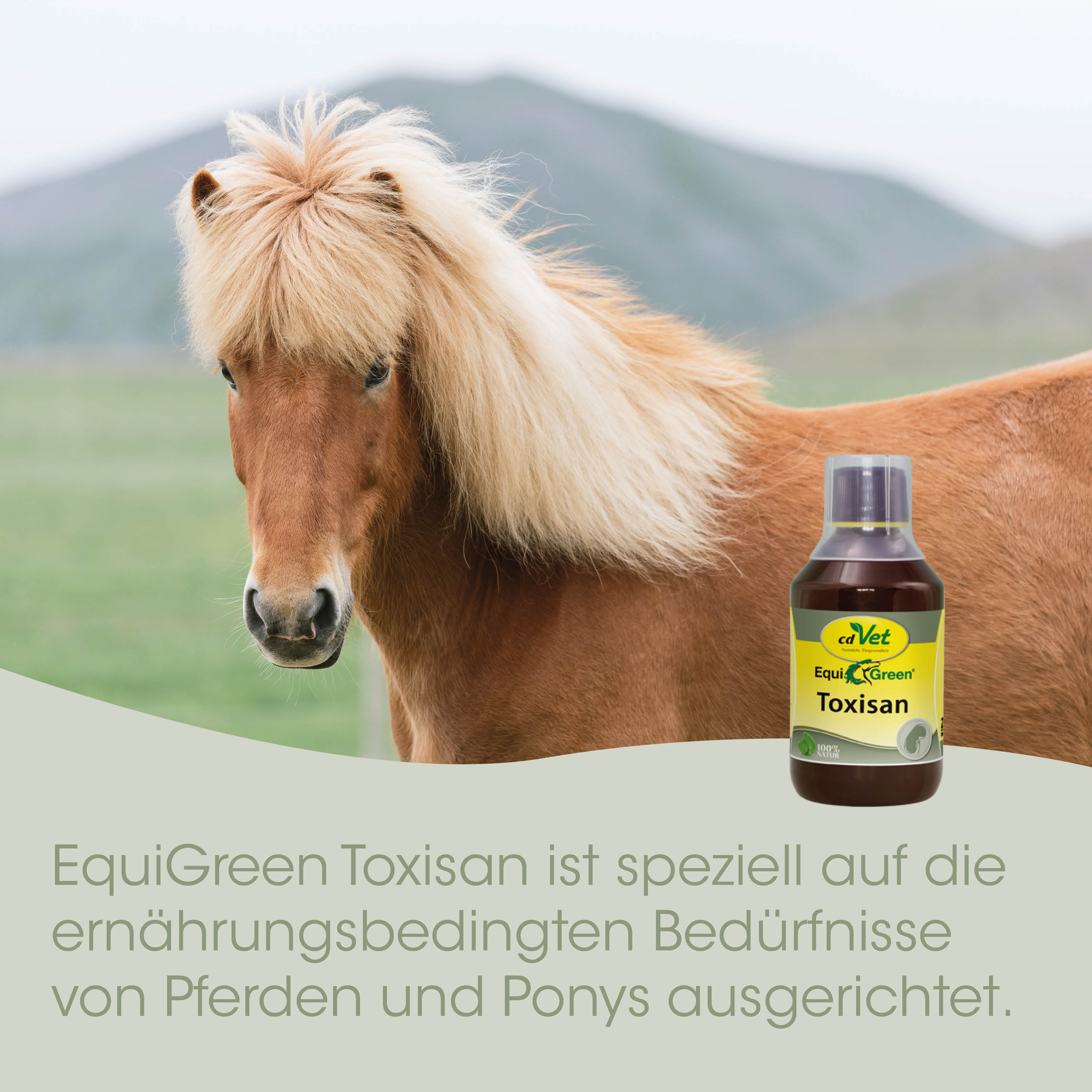 Pferd, Pferde, Ponies, Toxisan, EquiGreen