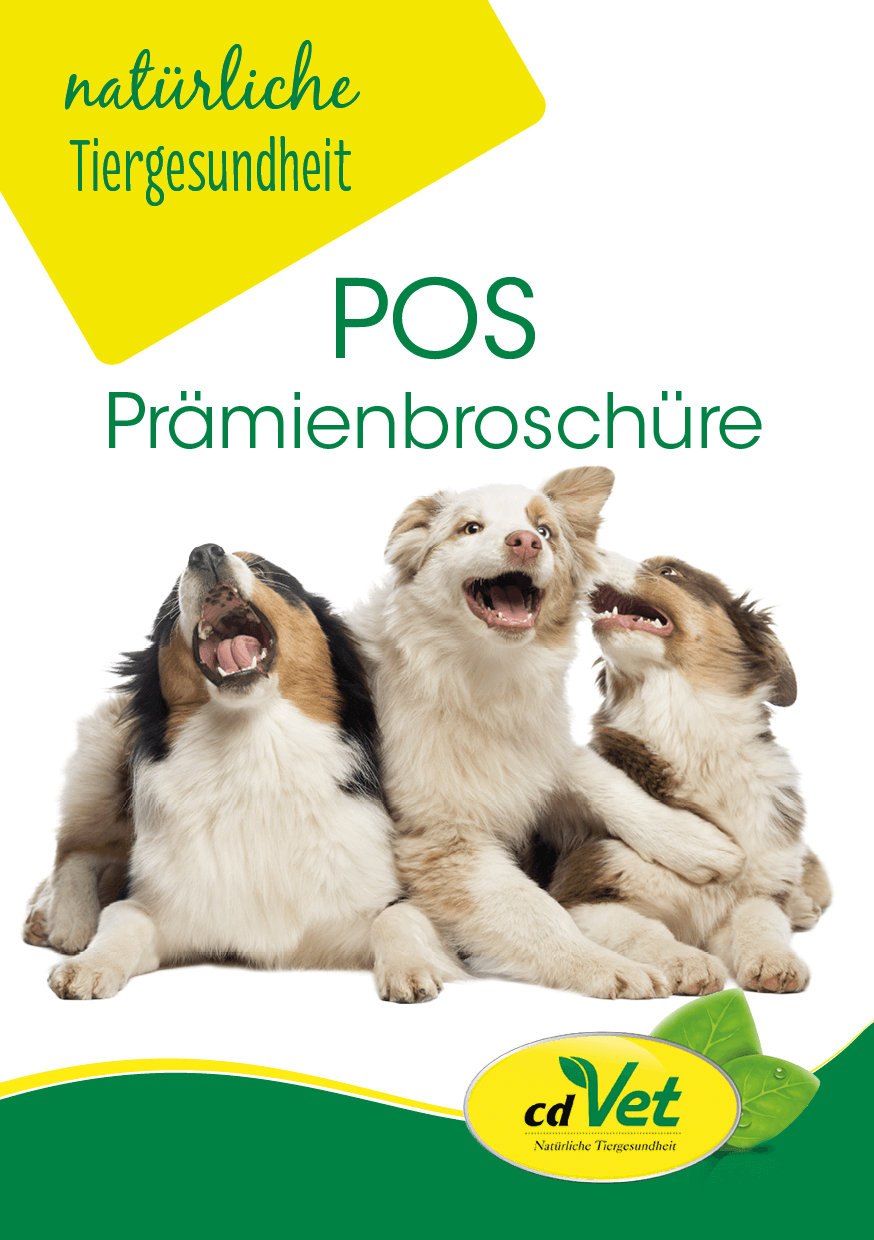 POS Prämienbroschüre Faltblatt 8-Seitig A5