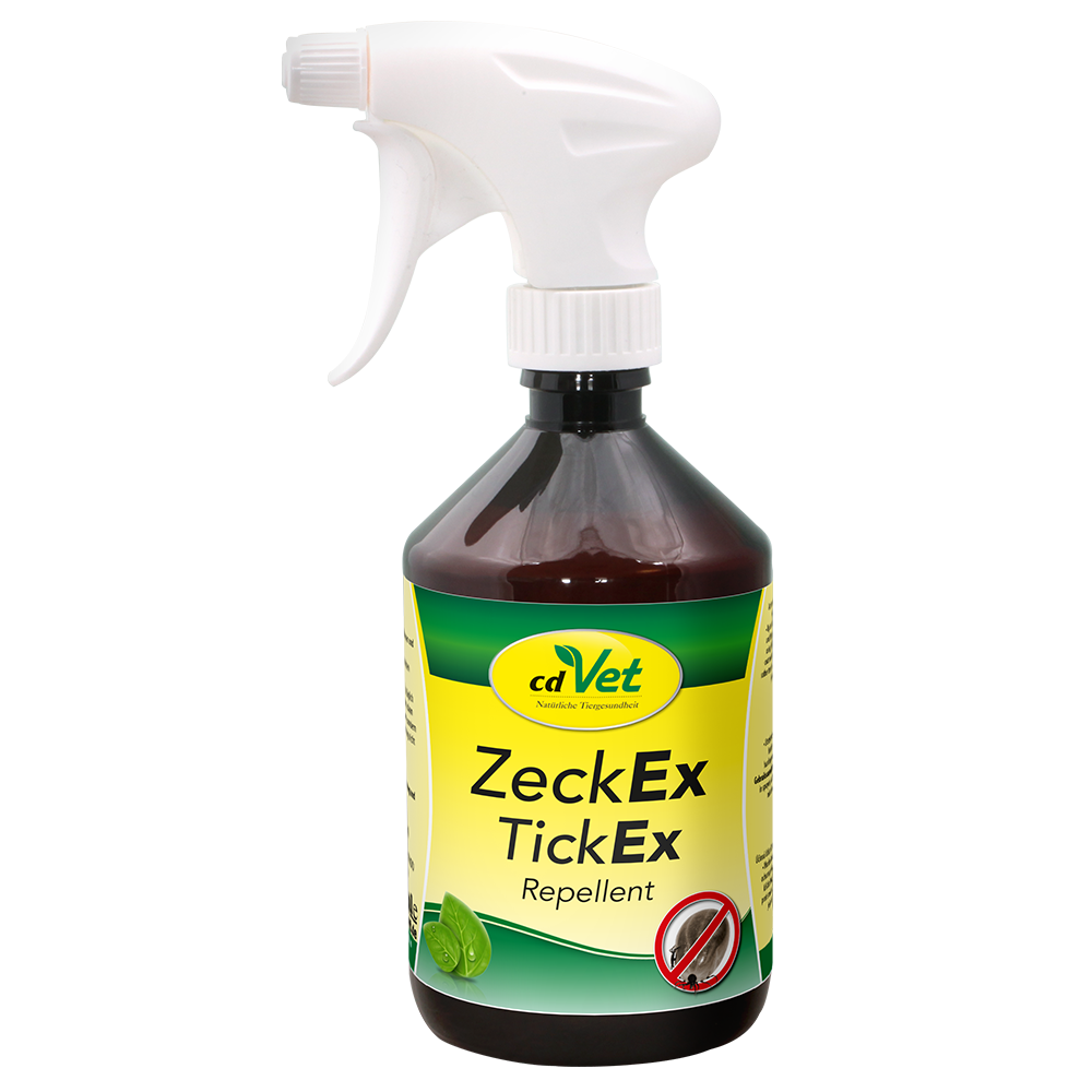 Flasche, Kosmetik, Parfüm, Würzen, Sirup