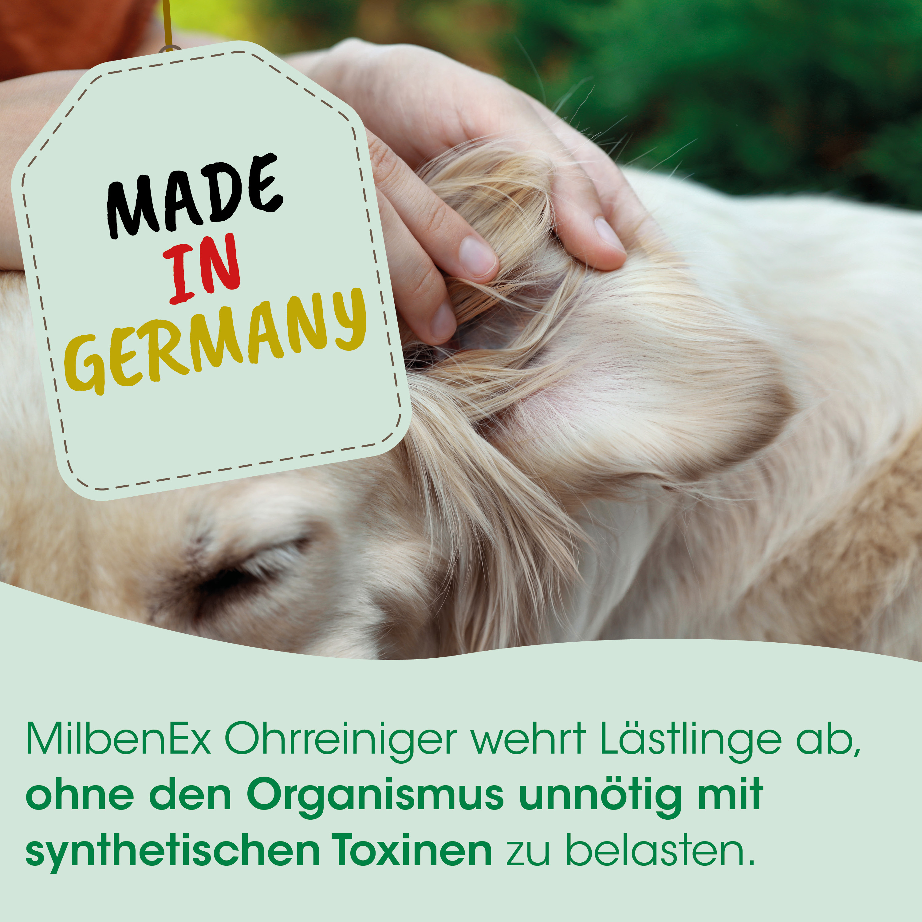 Made in Germany, Tag, Pferd, Fell, Pflege-Tag