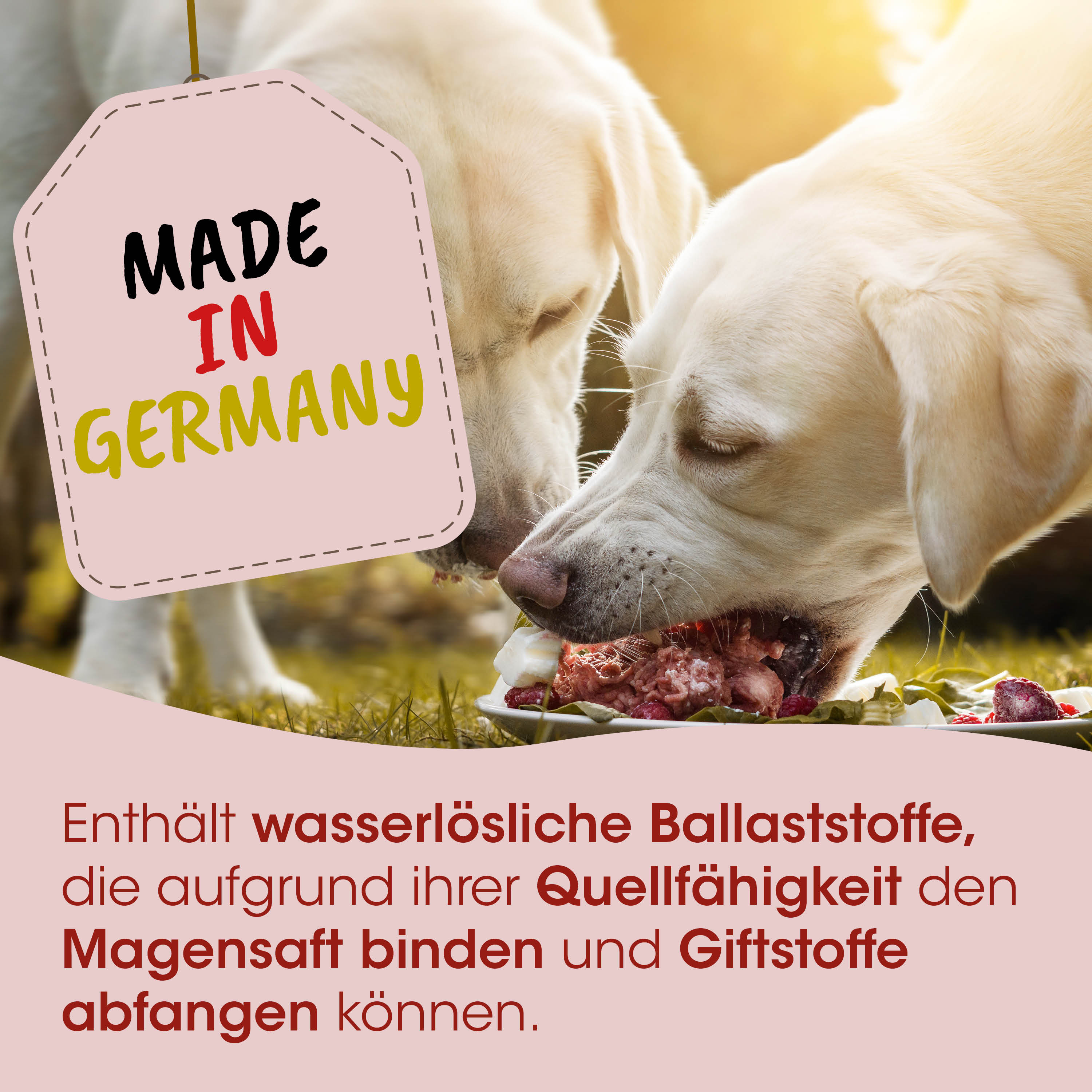 Hundeernährung, Hundefutter, Rohfleisch, Kauknochen, Made in Germany