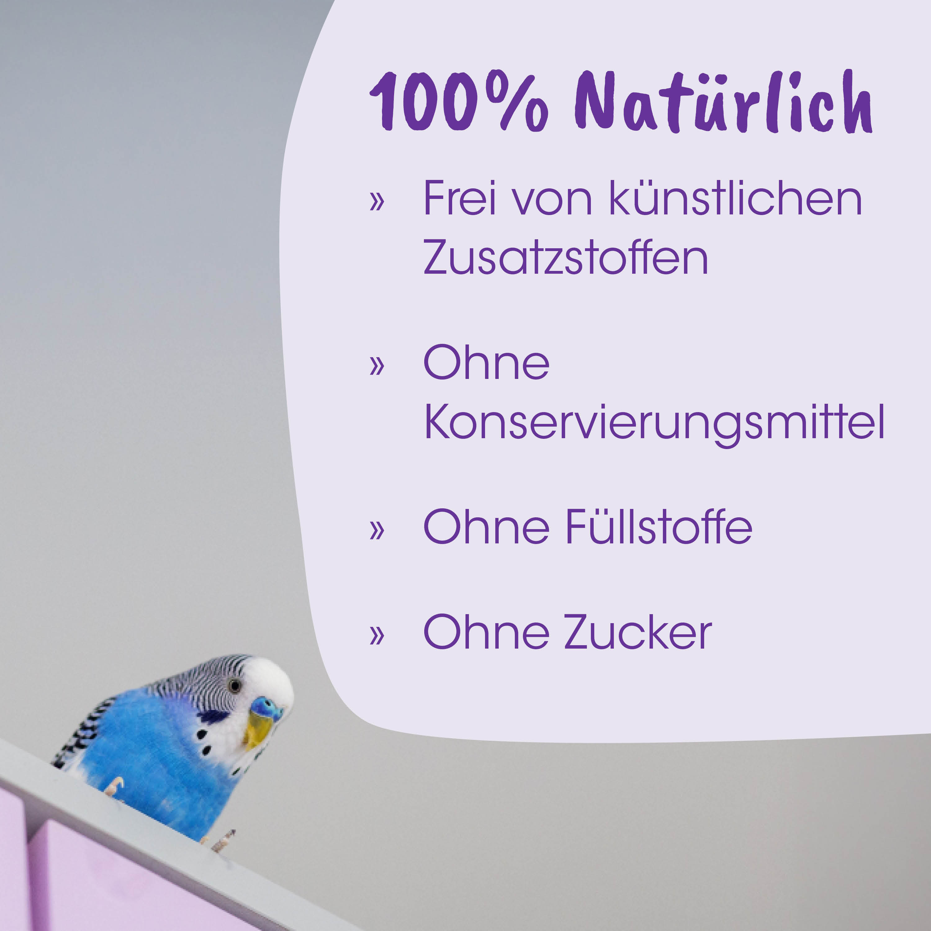Paprot, blauer Papagei, Haustier-Vogel, Vogelzimmer, Heimdekor