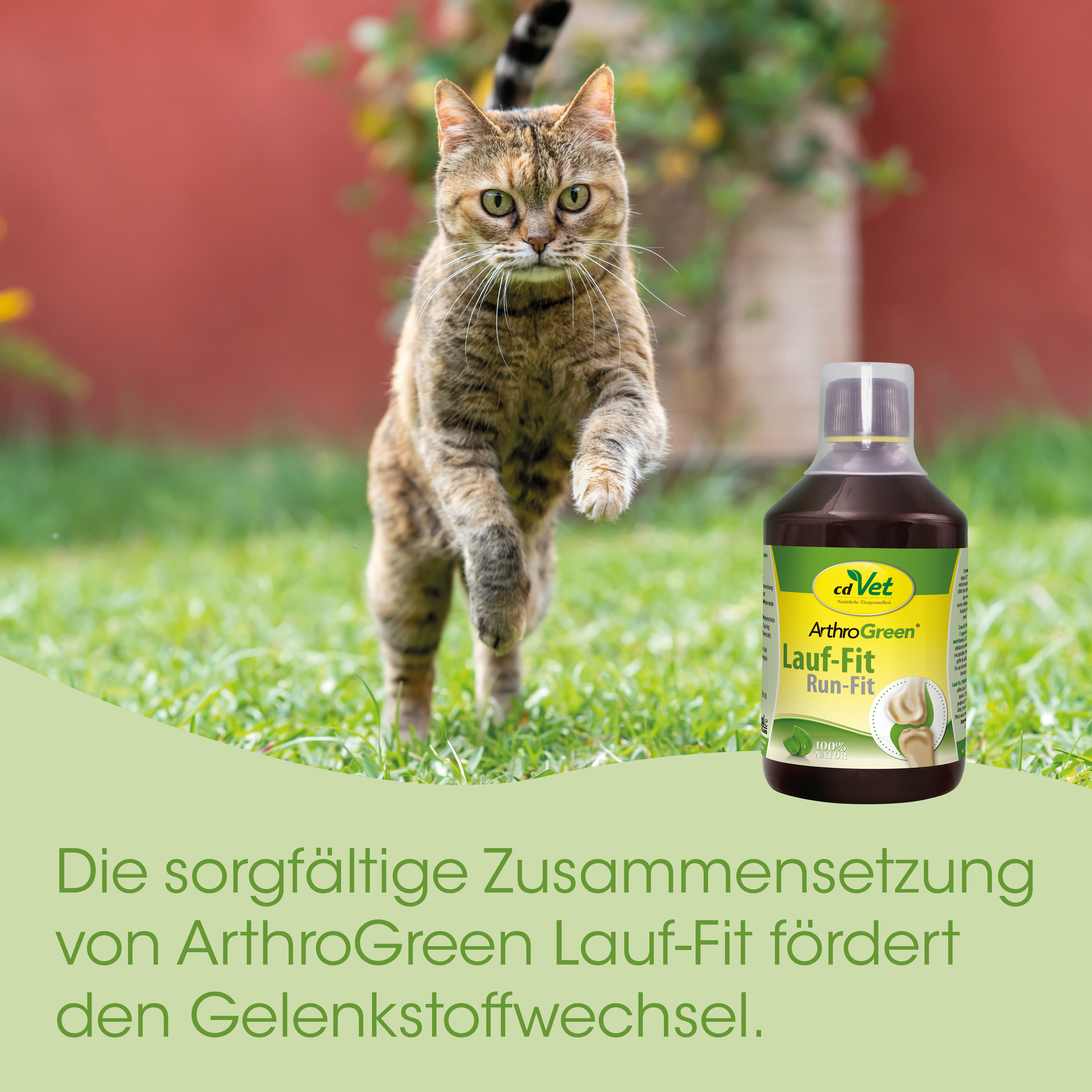 katze, tier, katzenmedizin, leberergänzung, grüne flasche
