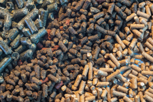 Banner Pferd Futter-2 (1)
