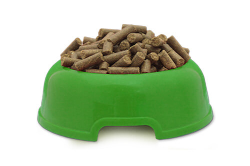 Fit-Crock_2003_500x333px Fit-Crock_2003_500x333px