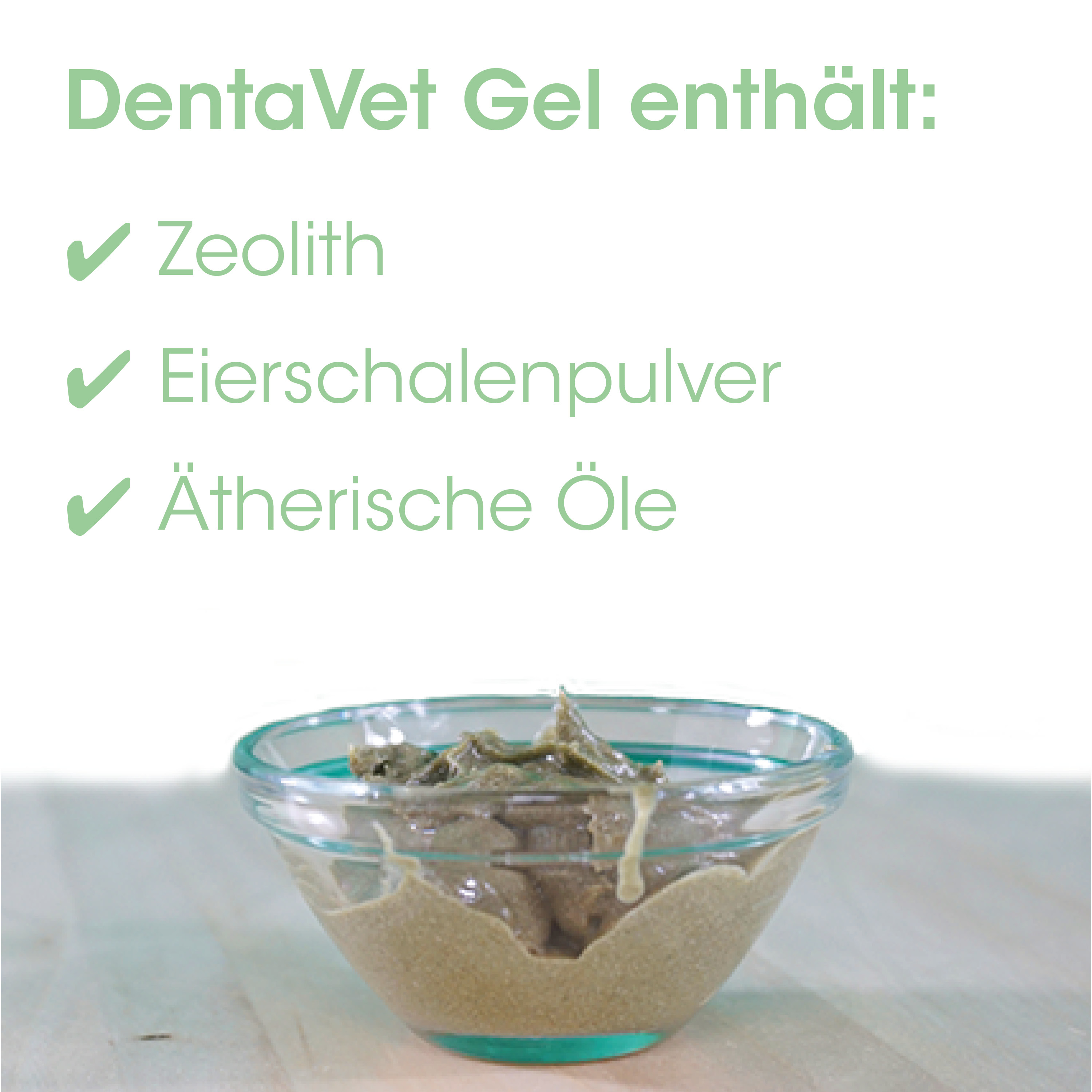 Gelee, Sand, Glas-Schüssel, Zement, DentaVet Gel