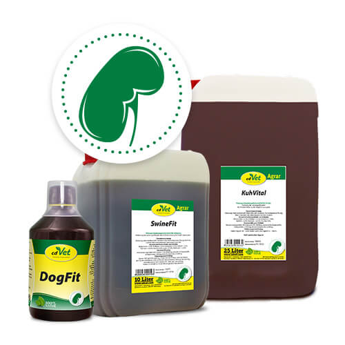 Blog-3_Produkte Blog-3_Produkte