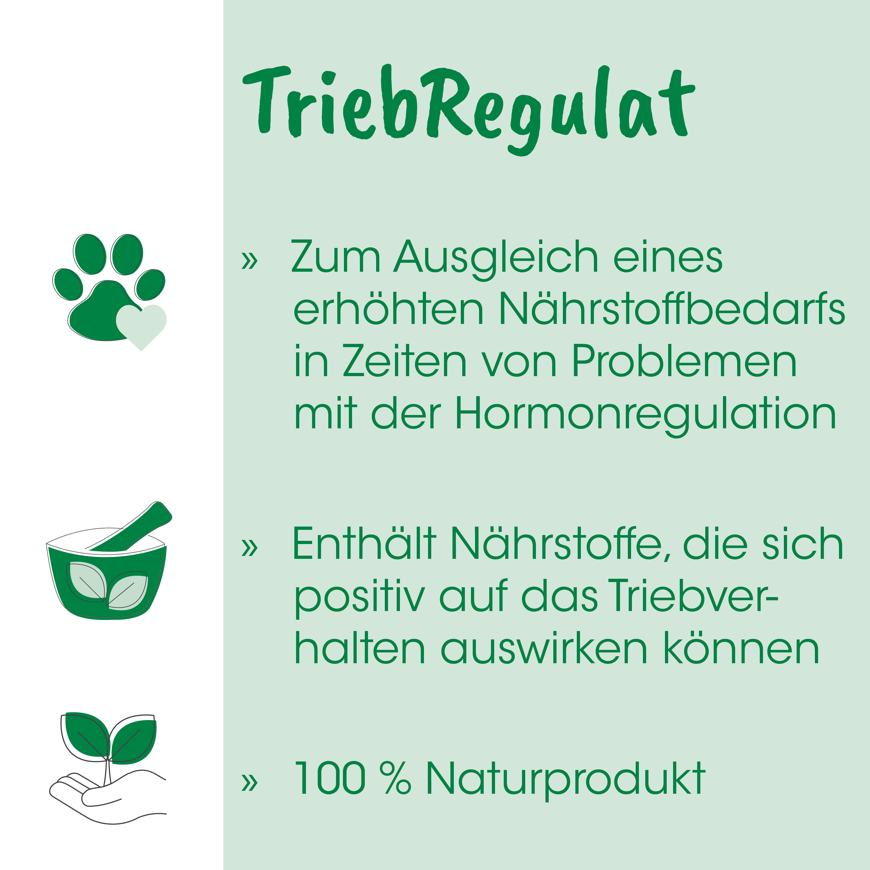 pfote, herzsymbol, grüner schüssel, blatt, naturprodukt