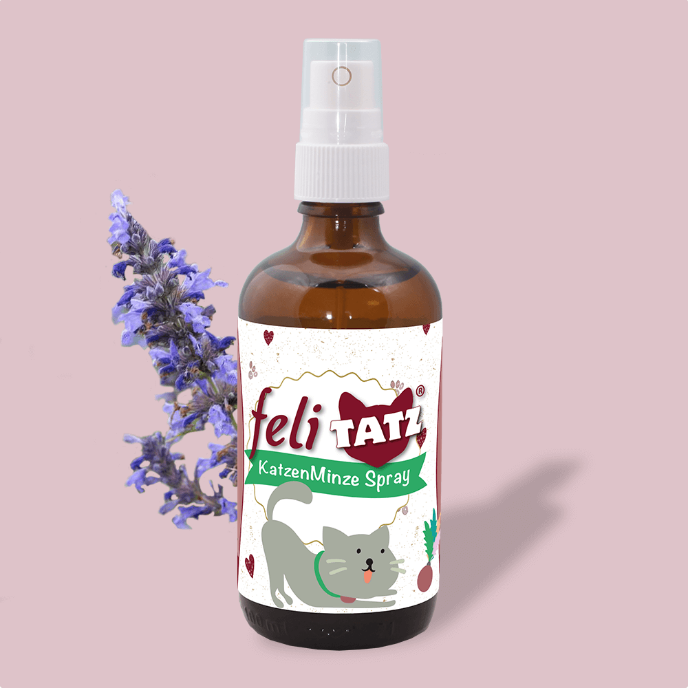 feliTATZ KatzenMinze Spray 100 ml