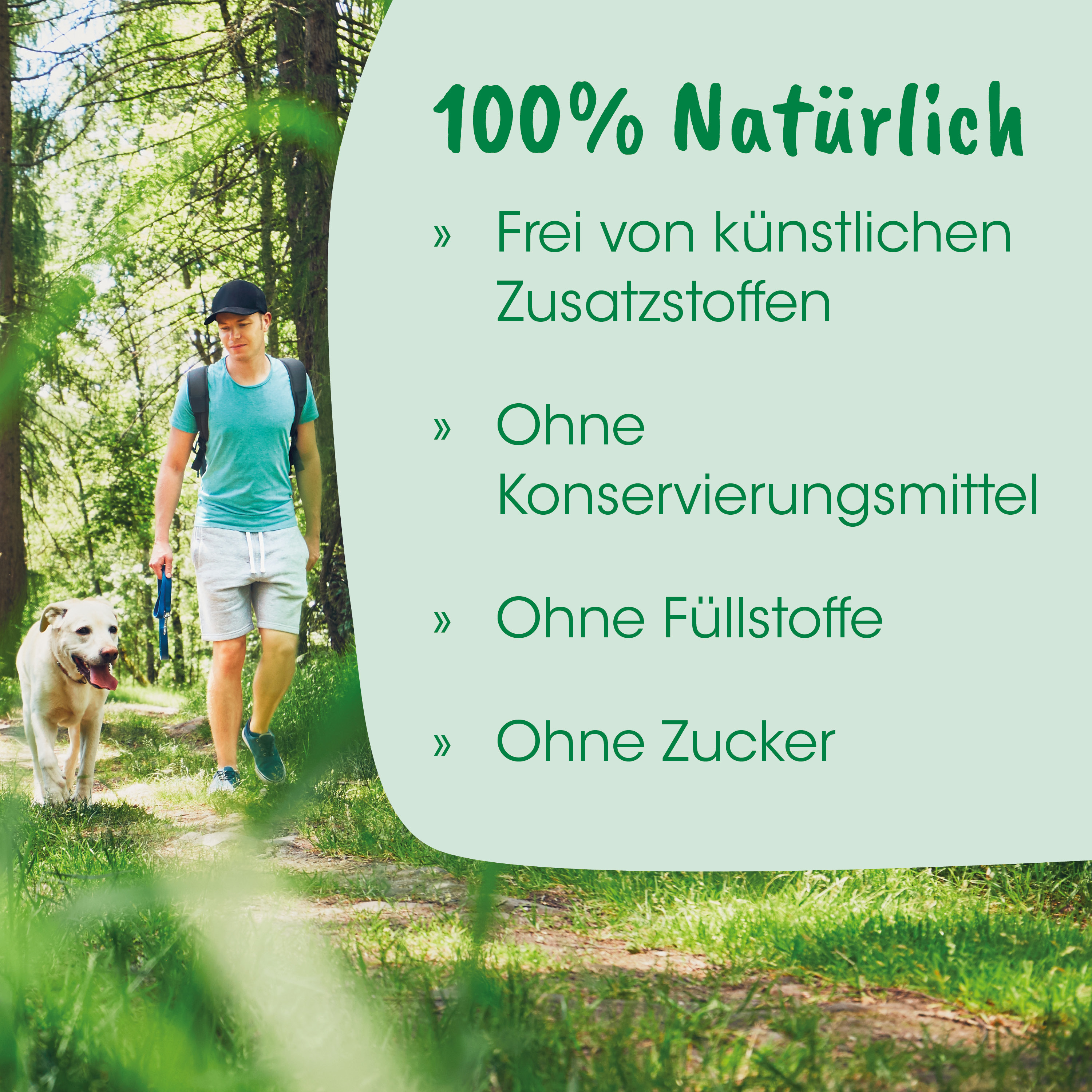 outdoor, Hund, Wanderer, Wald, Freizeit