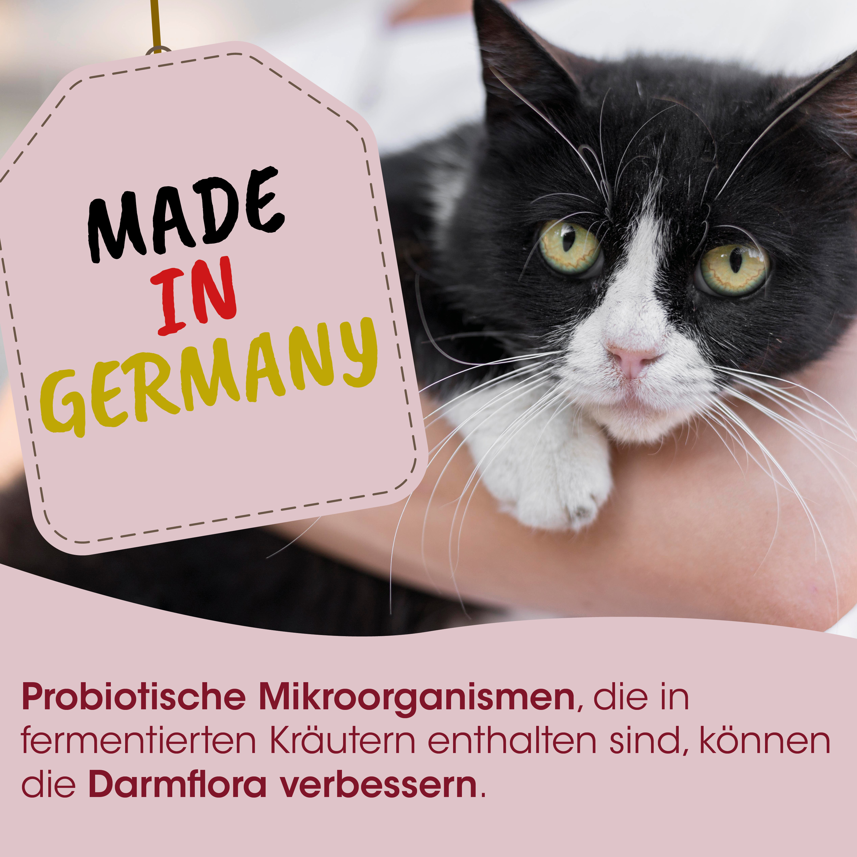 Katze, Schwarz-Weiß, Tierisch, Hergestellt in Deutschland, Probiotisch