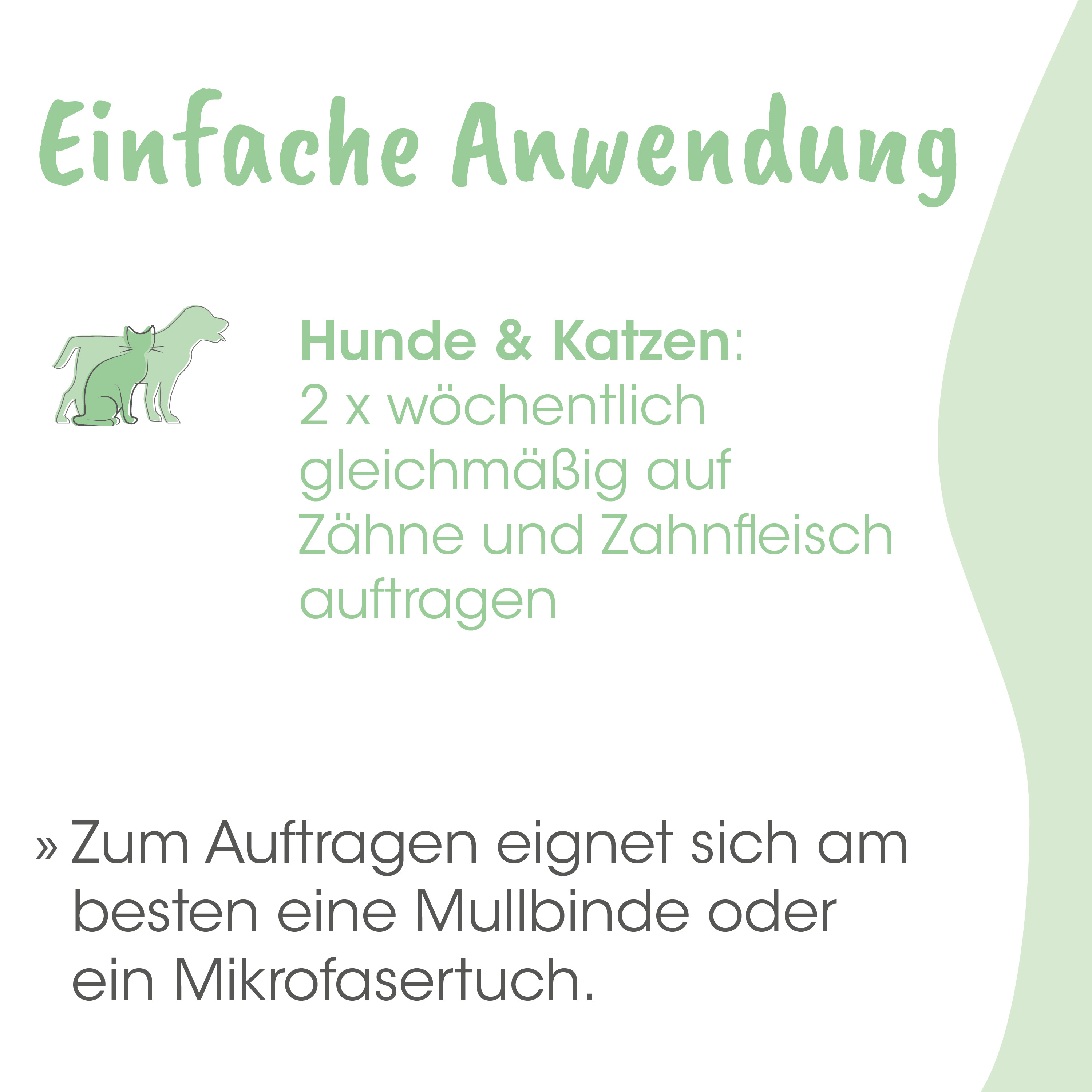 poster, grafik, hunde & katzen, zahnpflege, auftrag